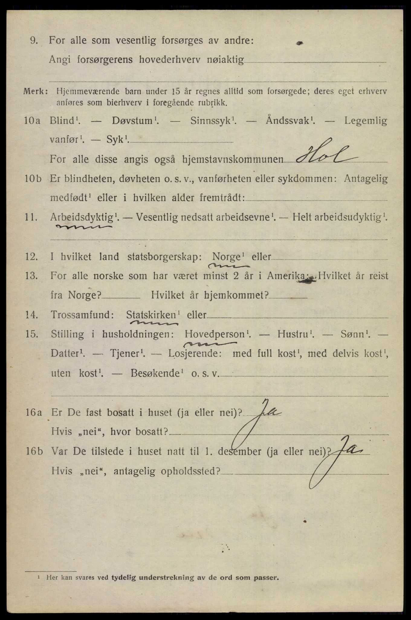 SAKO, 1920 census for Hol (Buskerud), 1920, p. 3770