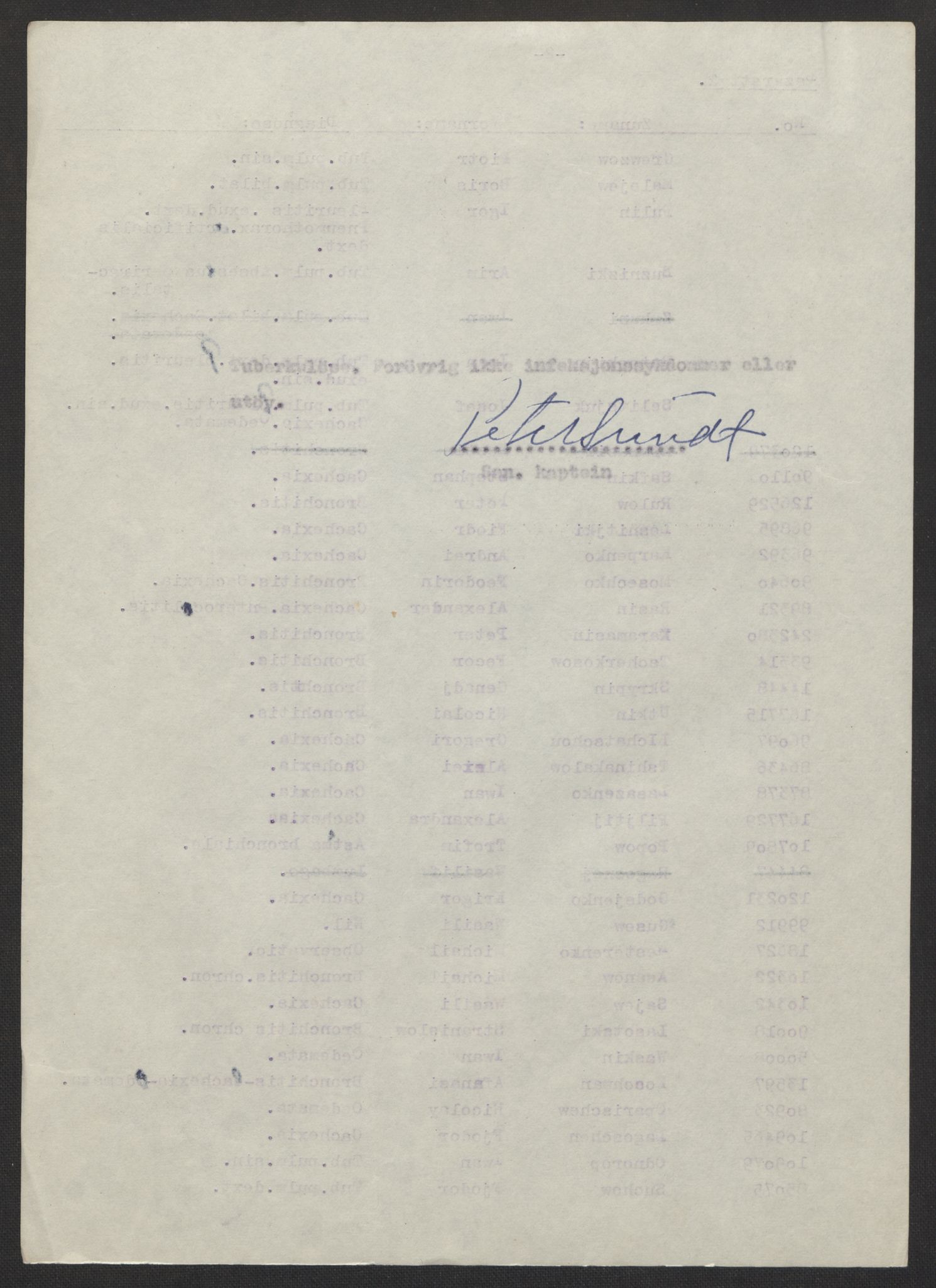 Flyktnings- og fangedirektoratet, Repatrieringskontoret, AV/RA-S-1681/D/Db/L0017: Displaced Persons (DPs) og sivile tyskere, 1945-1948, p. 102