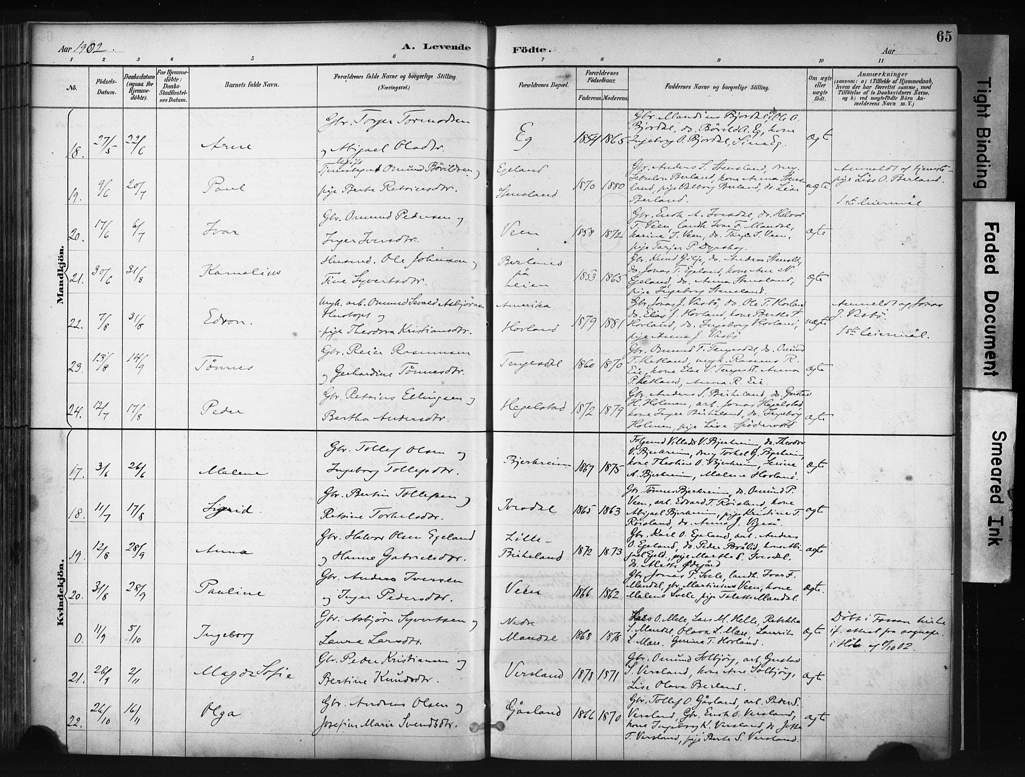 Helleland sokneprestkontor, AV/SAST-A-101810: Parish register (official) no. A 9, 1887-1908, p. 65