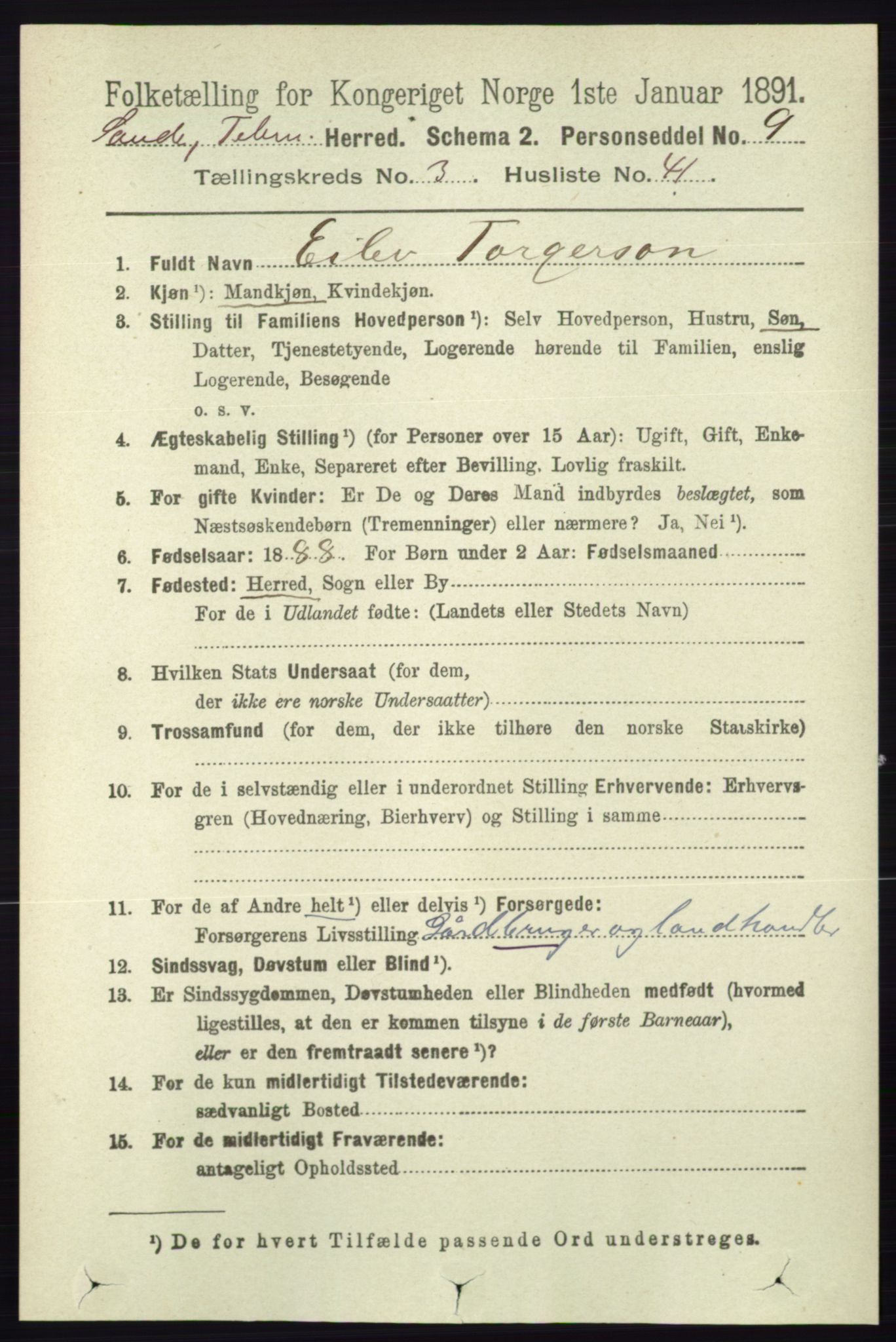 RA, 1891 census for 0822 Sauherad, 1891, p. 943