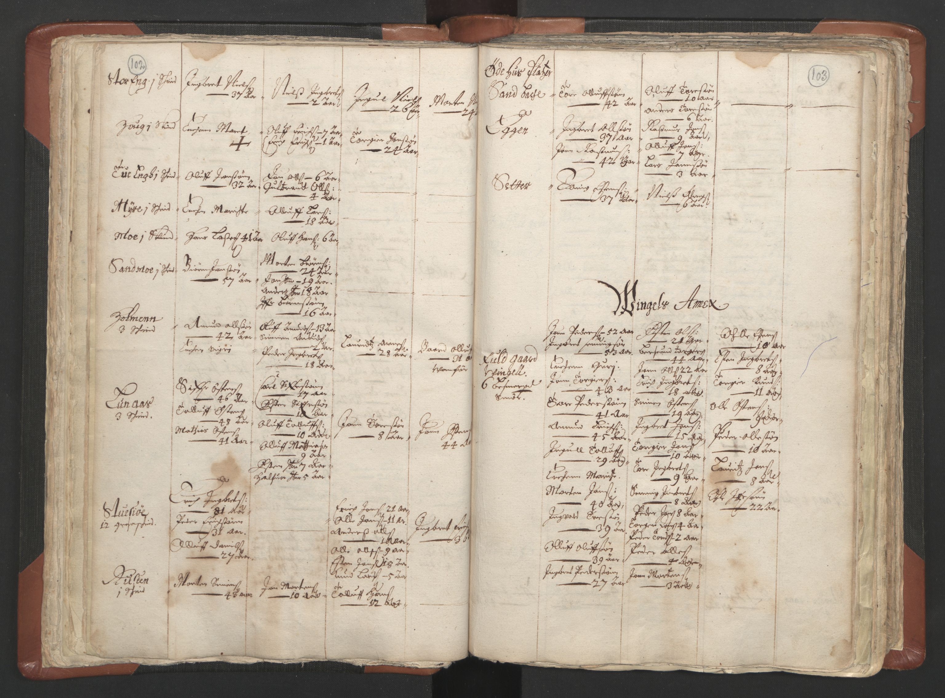 RA, Vicar's Census 1664-1666, no. 5: Hedmark deanery, 1664-1666, p. 102-103