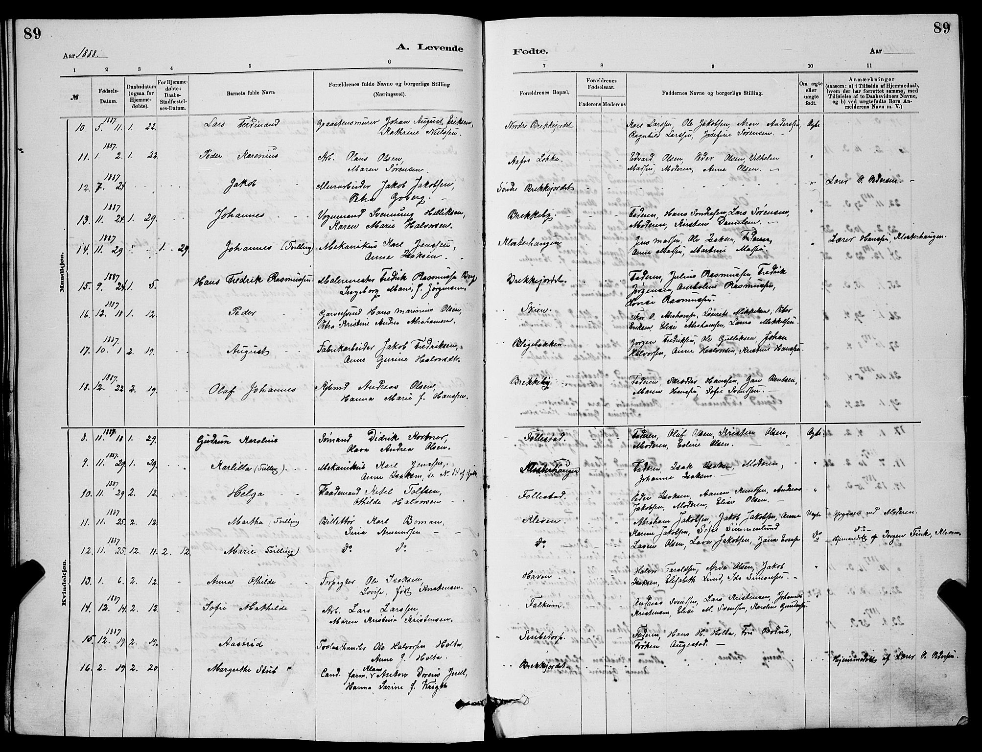 Skien kirkebøker, SAKO/A-302/G/Ga/L0006: Parish register (copy) no. 6, 1881-1890, p. 89