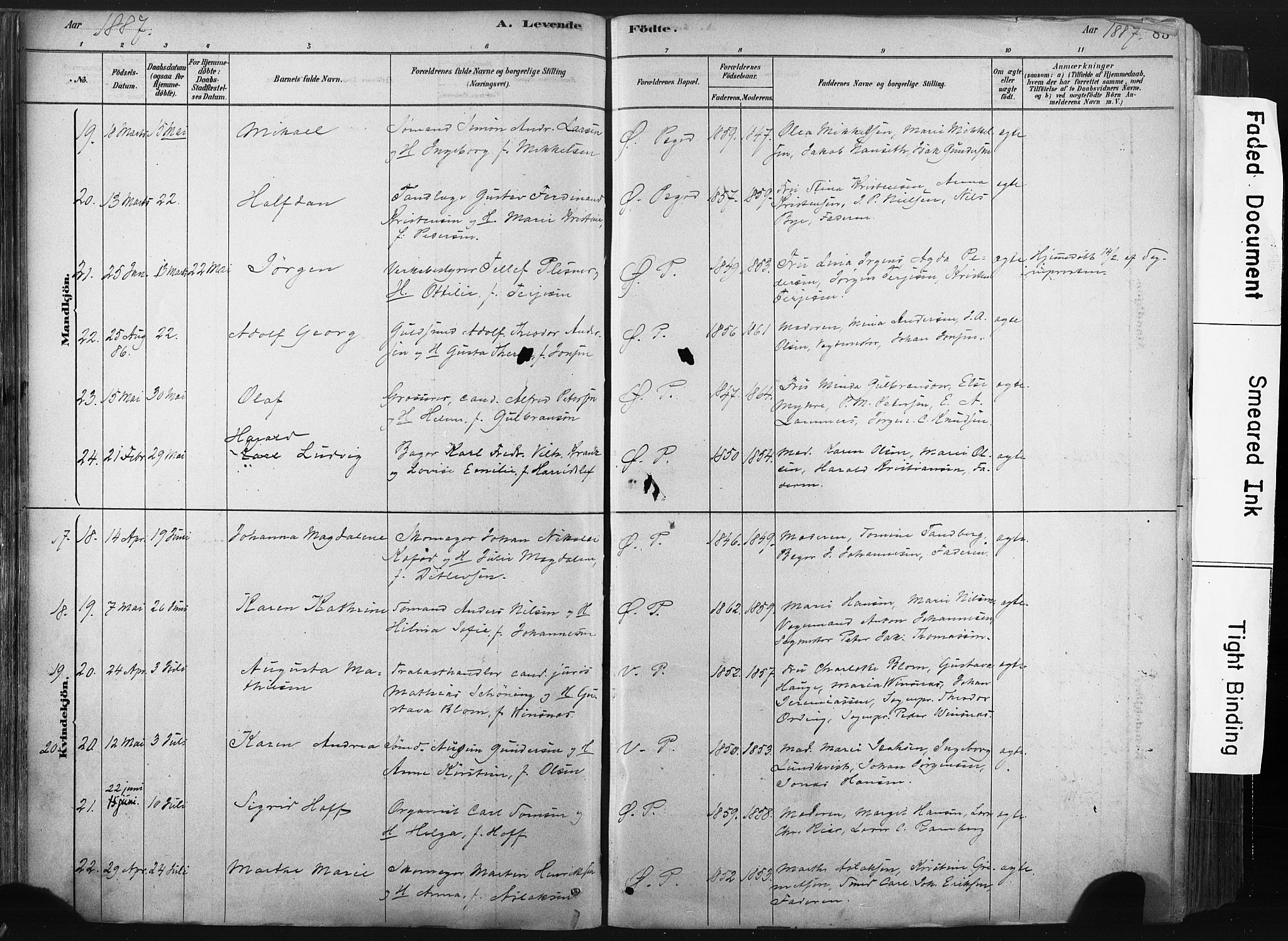 Porsgrunn kirkebøker , AV/SAKO-A-104/F/Fa/L0008: Parish register (official) no. 8, 1878-1895, p. 85