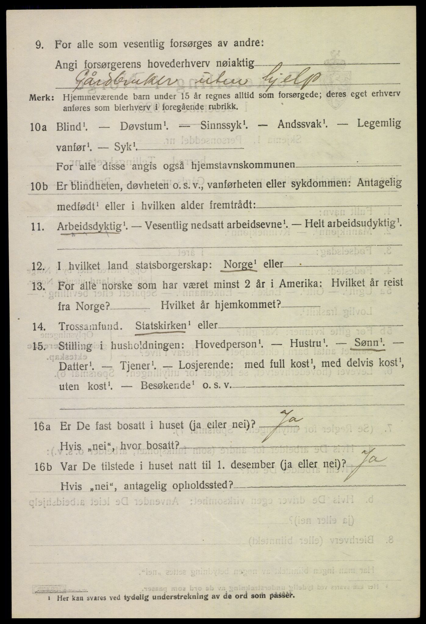 SAH, 1920 census for Lom, 1920, p. 5097