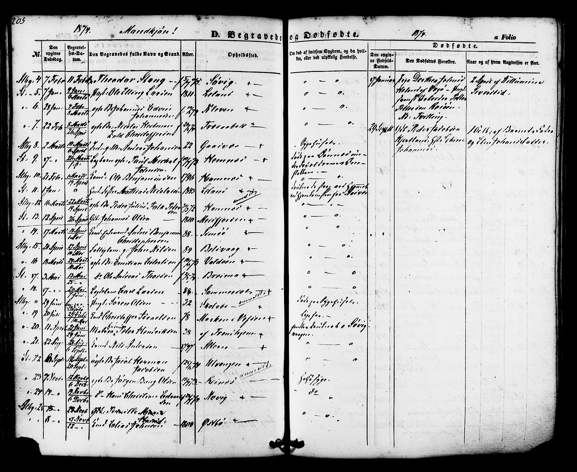 Ministerialprotokoller, klokkerbøker og fødselsregistre - Nordland, AV/SAT-A-1459/830/L0448: Parish register (official) no. 830A12, 1855-1878, p. 205