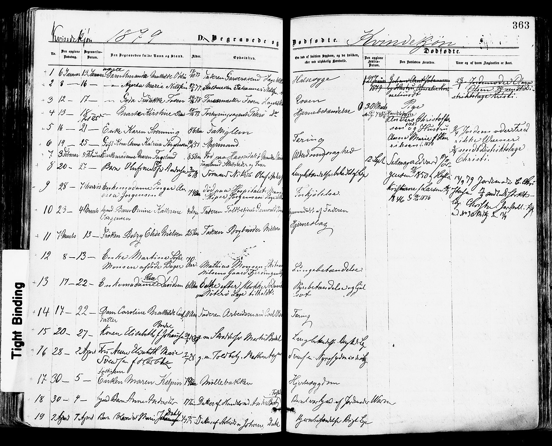 Tønsberg kirkebøker, AV/SAKO-A-330/F/Fa/L0010: Parish register (official) no. I 10, 1874-1880, p. 363