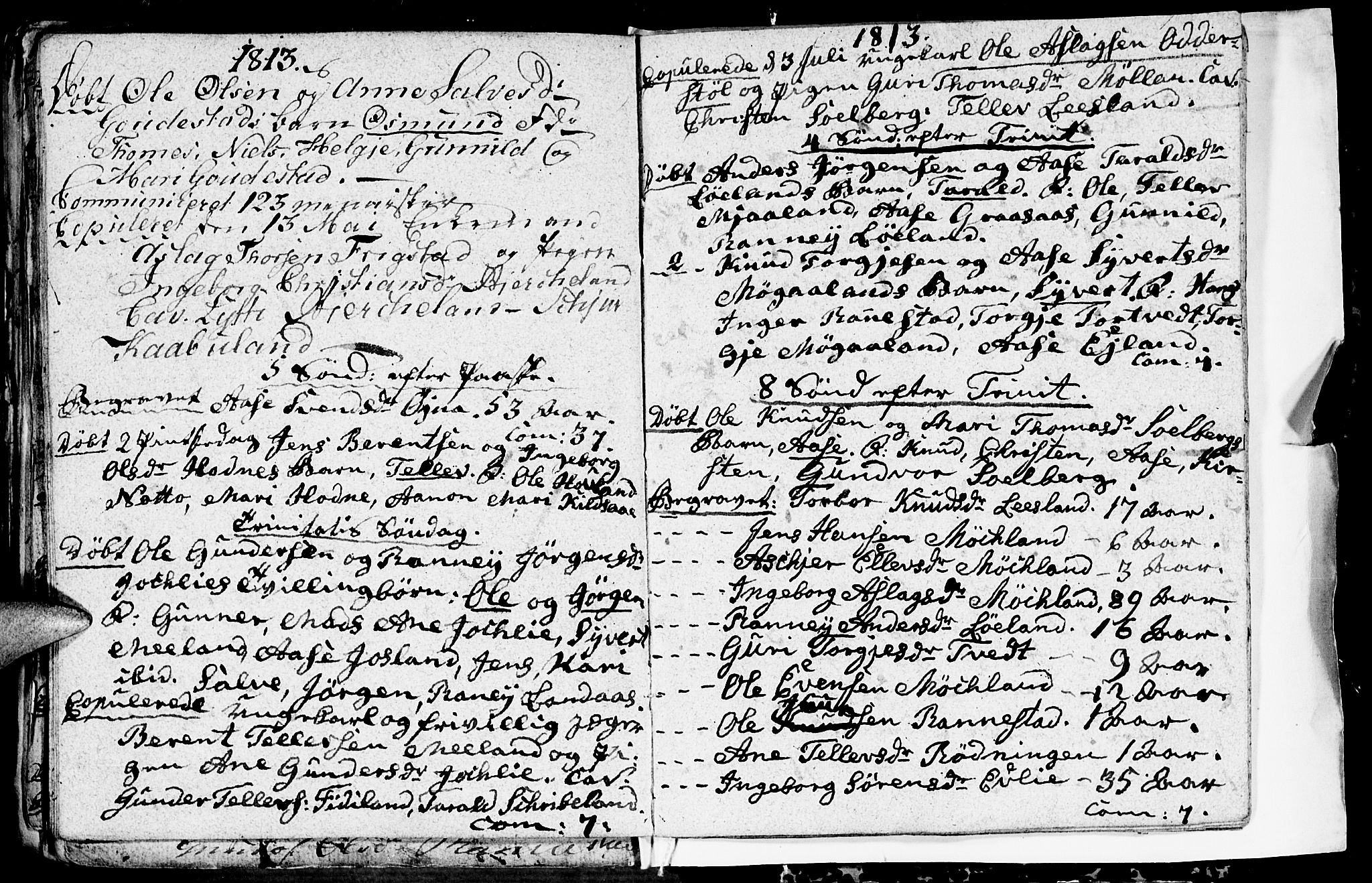 Evje sokneprestkontor, SAK/1111-0008/F/Fa/Fac/L0002: Parish register (official) no. A 2, 1765-1816, p. 174