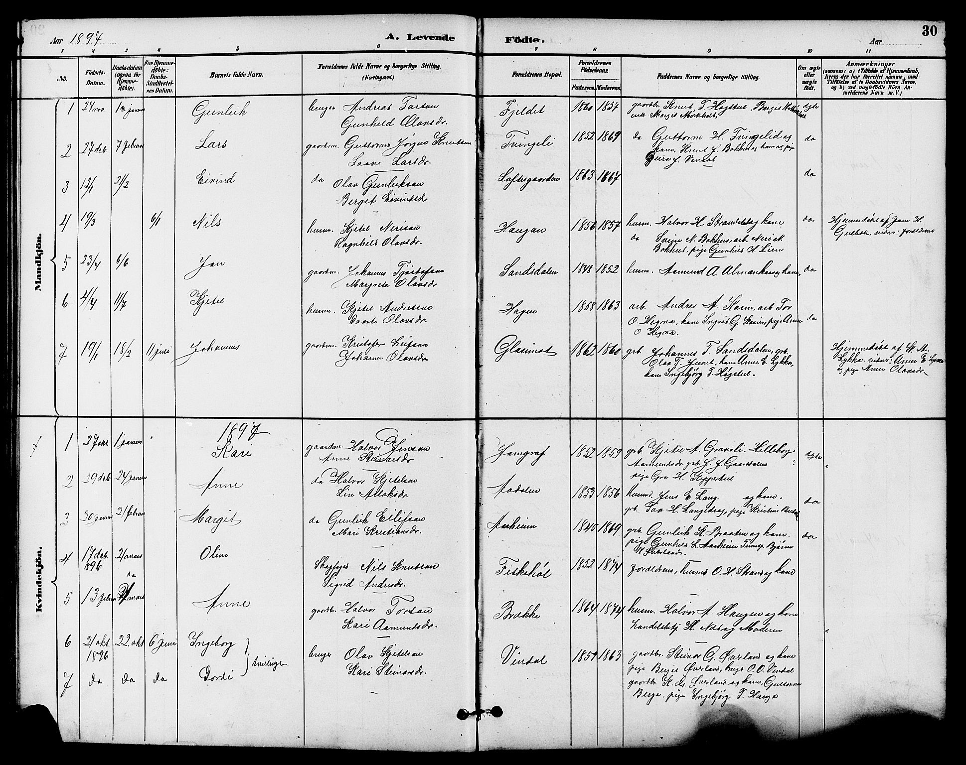 Seljord kirkebøker, SAKO/A-20/G/Ga/L0005: Parish register (copy) no. I 5, 1887-1914, p. 30