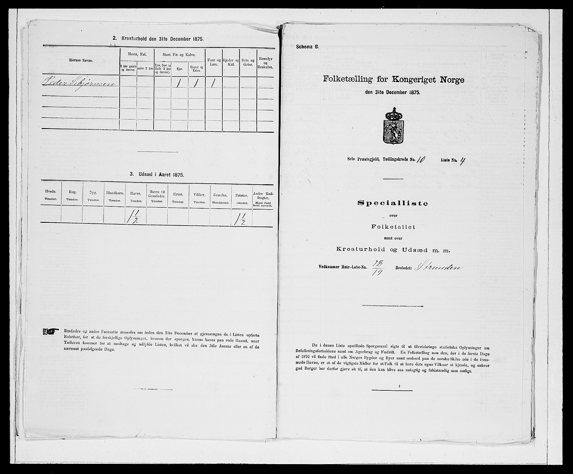 SAB, 1875 Census for 1441P Selje, 1875, p. 1228