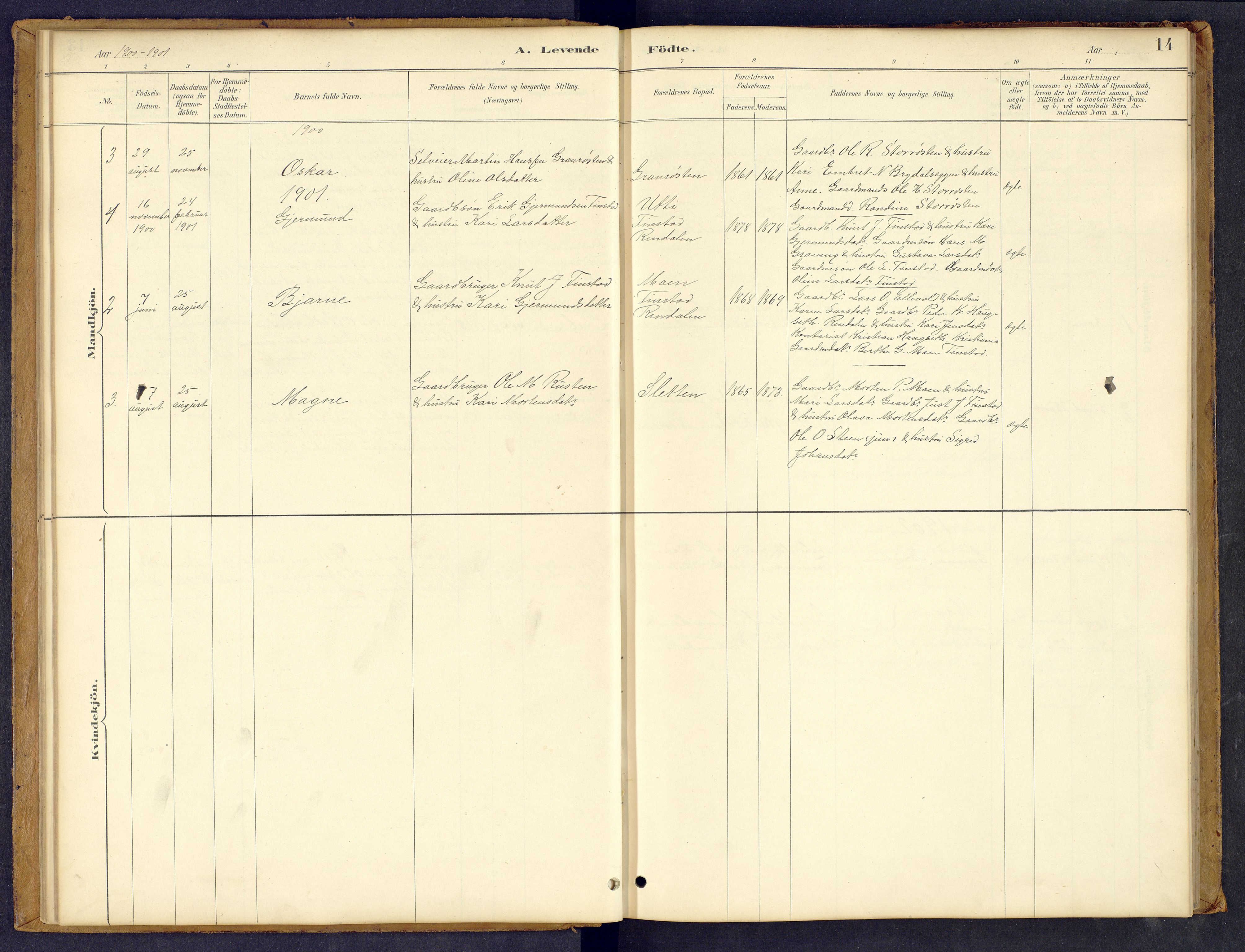 Tynset prestekontor, SAH/PREST-058/H/Ha/Hab/L0008: Parish register (copy) no. 8, 1884-1916, p. 14