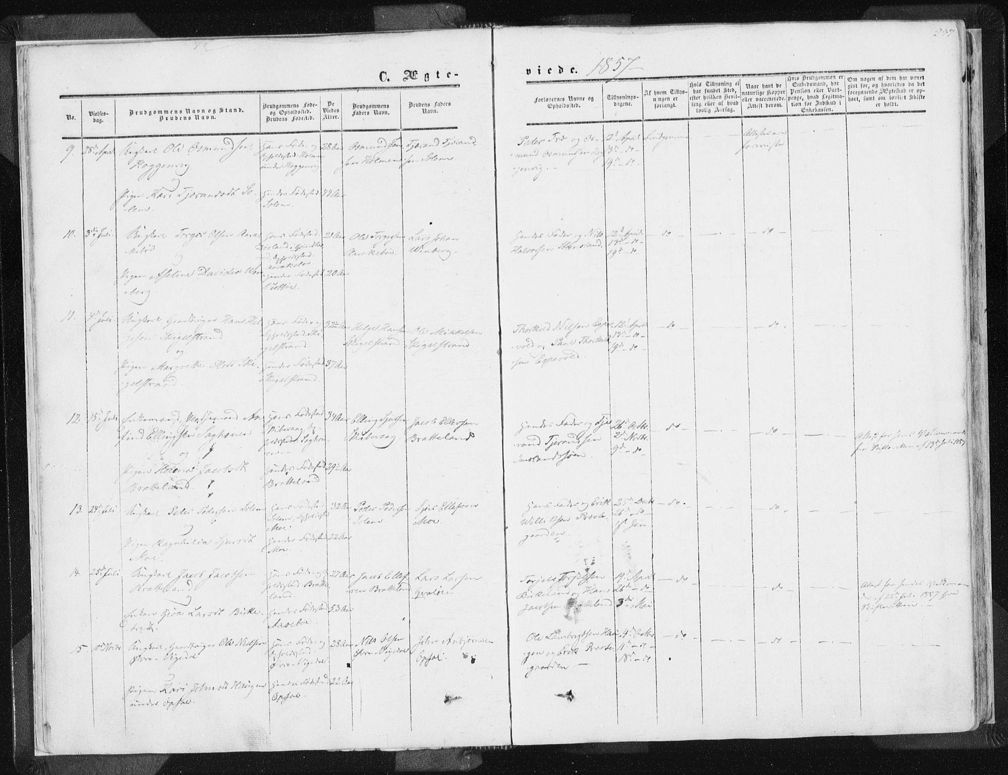 Vikedal sokneprestkontor, AV/SAST-A-101840/01/IV: Parish register (official) no. A 6.2, 1851-1867, p. 237