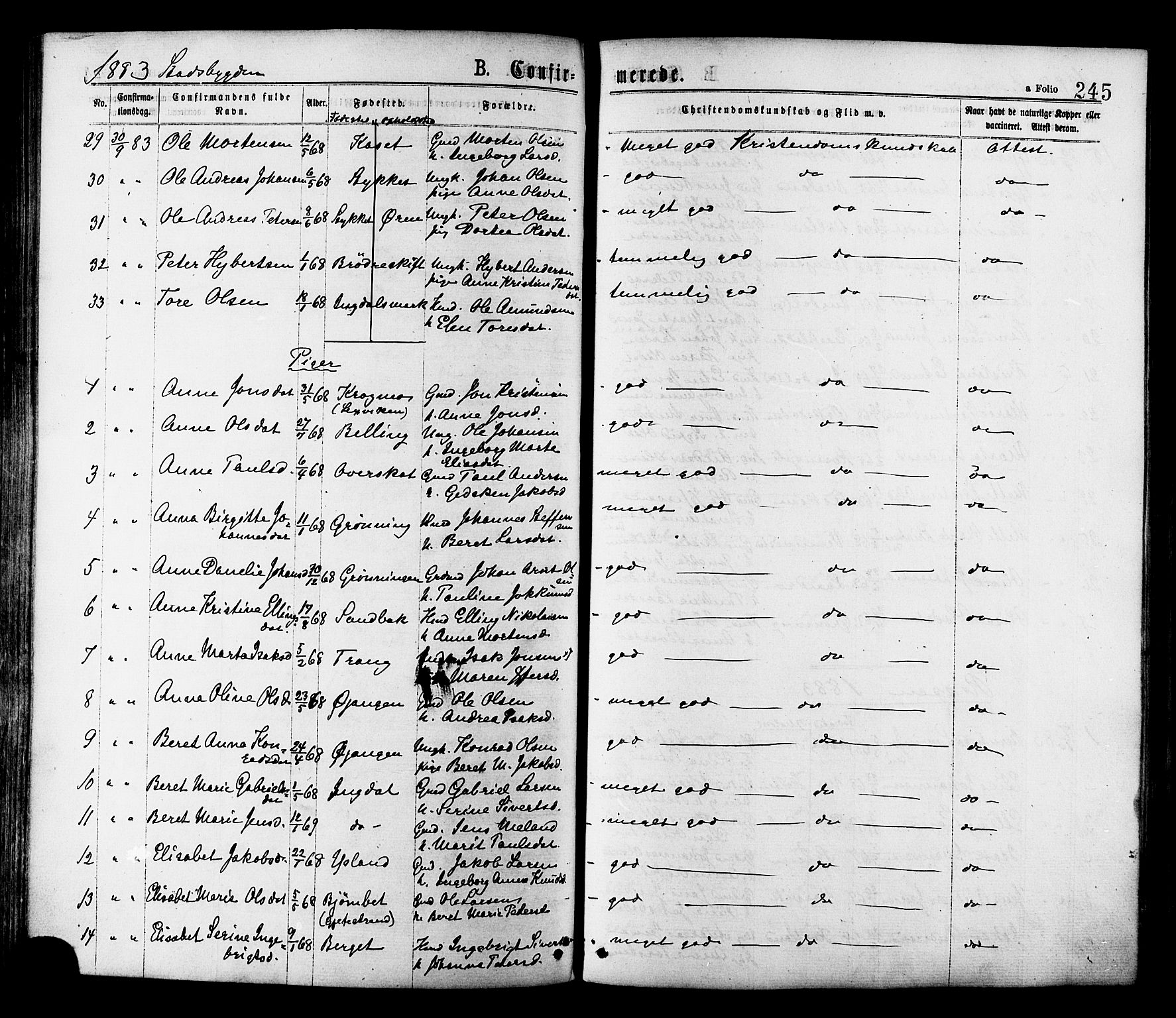 Ministerialprotokoller, klokkerbøker og fødselsregistre - Sør-Trøndelag, AV/SAT-A-1456/646/L0613: Parish register (official) no. 646A11, 1870-1884, p. 245