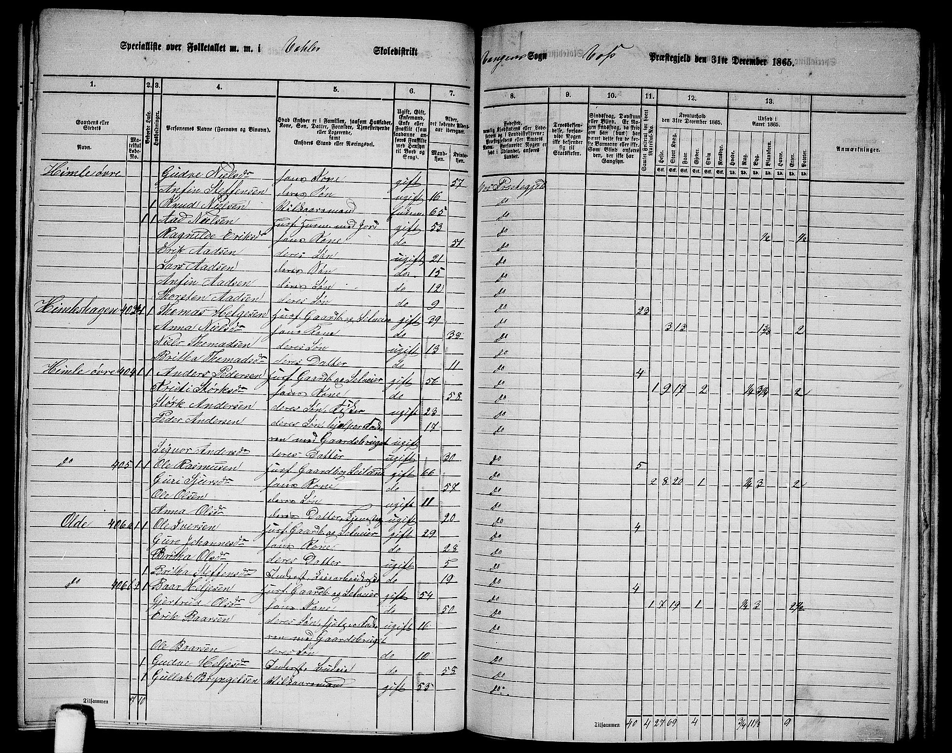 RA, 1865 census for Voss, 1865, p. 185