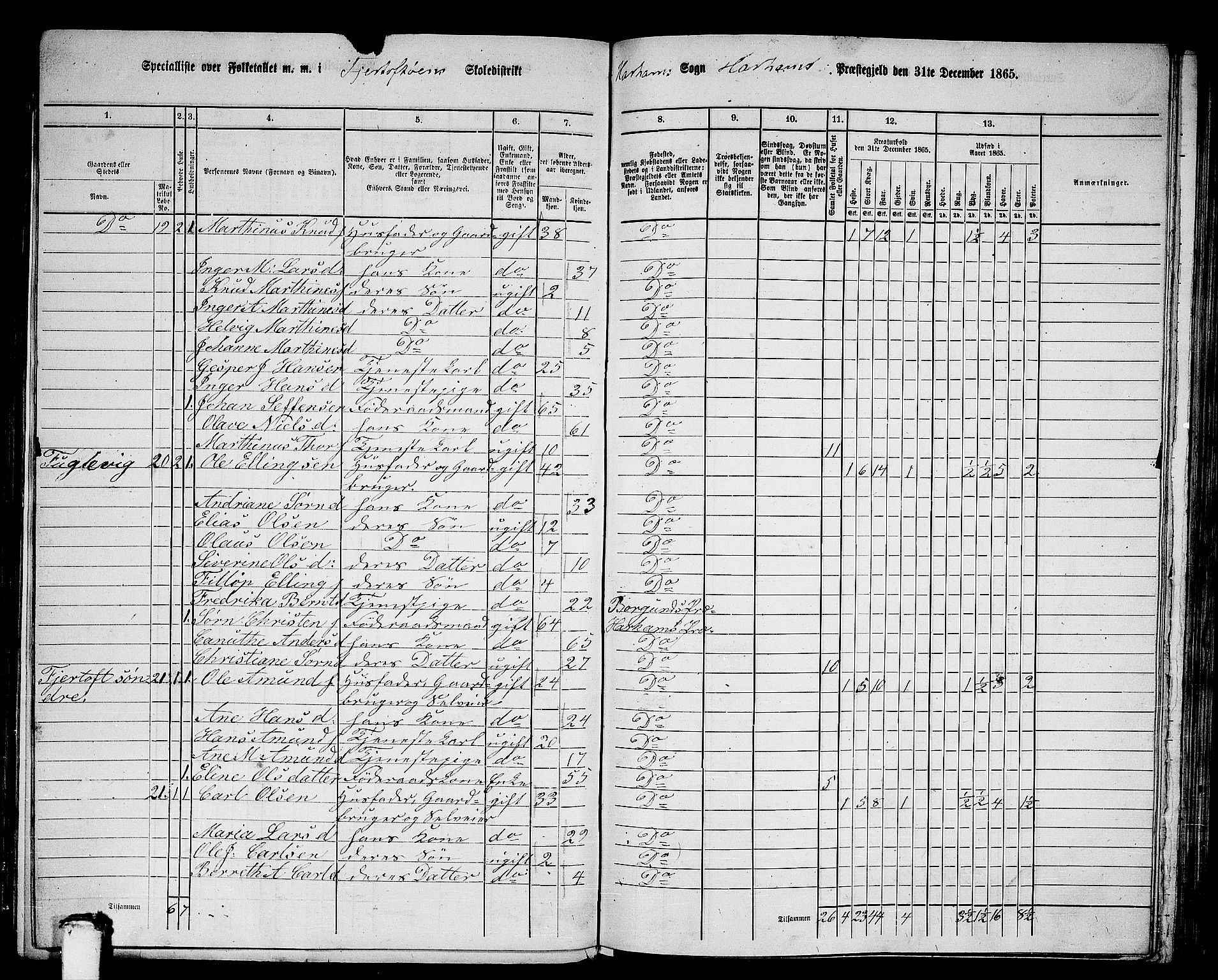 RA, 1865 census for Haram, 1865, p. 13