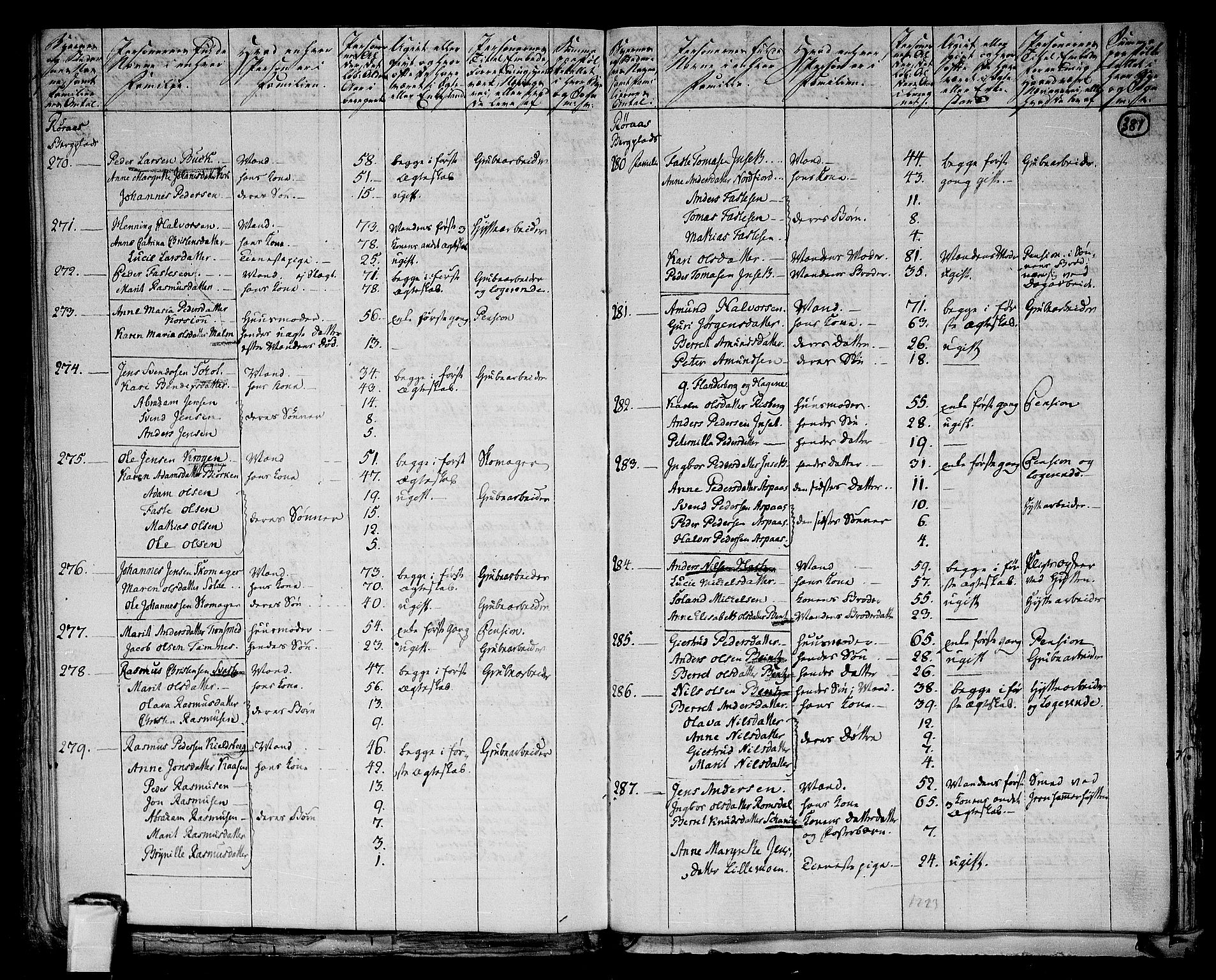 RA, 1801 census for 1640P Røros, 1801, p. 380b-381a