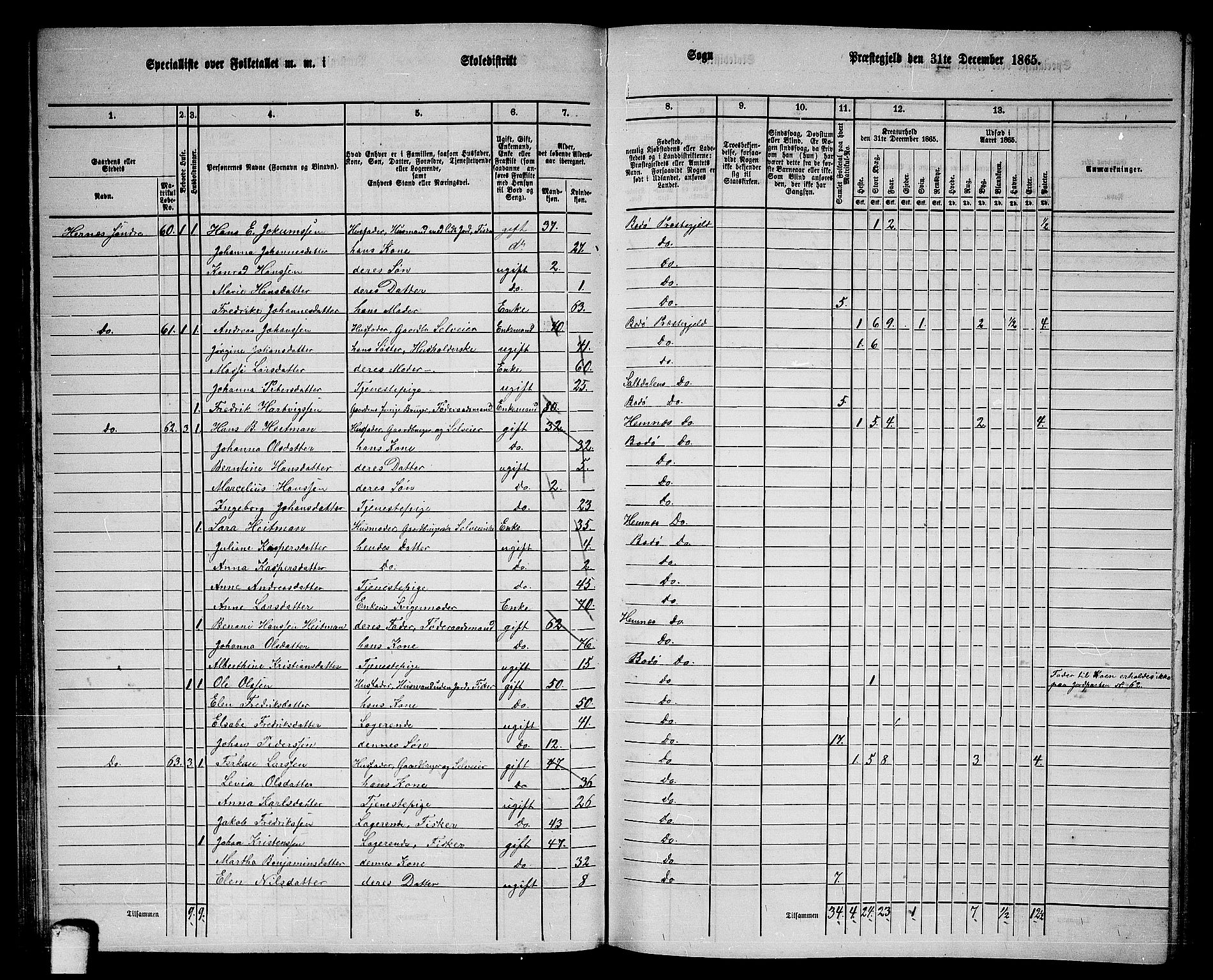 RA, 1865 census for Bodø/Bodø, 1865, p. 39
