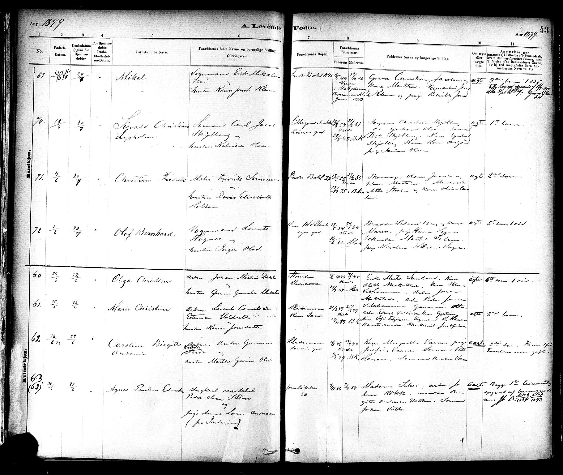 Ministerialprotokoller, klokkerbøker og fødselsregistre - Sør-Trøndelag, SAT/A-1456/604/L0188: Parish register (official) no. 604A09, 1878-1892, p. 43