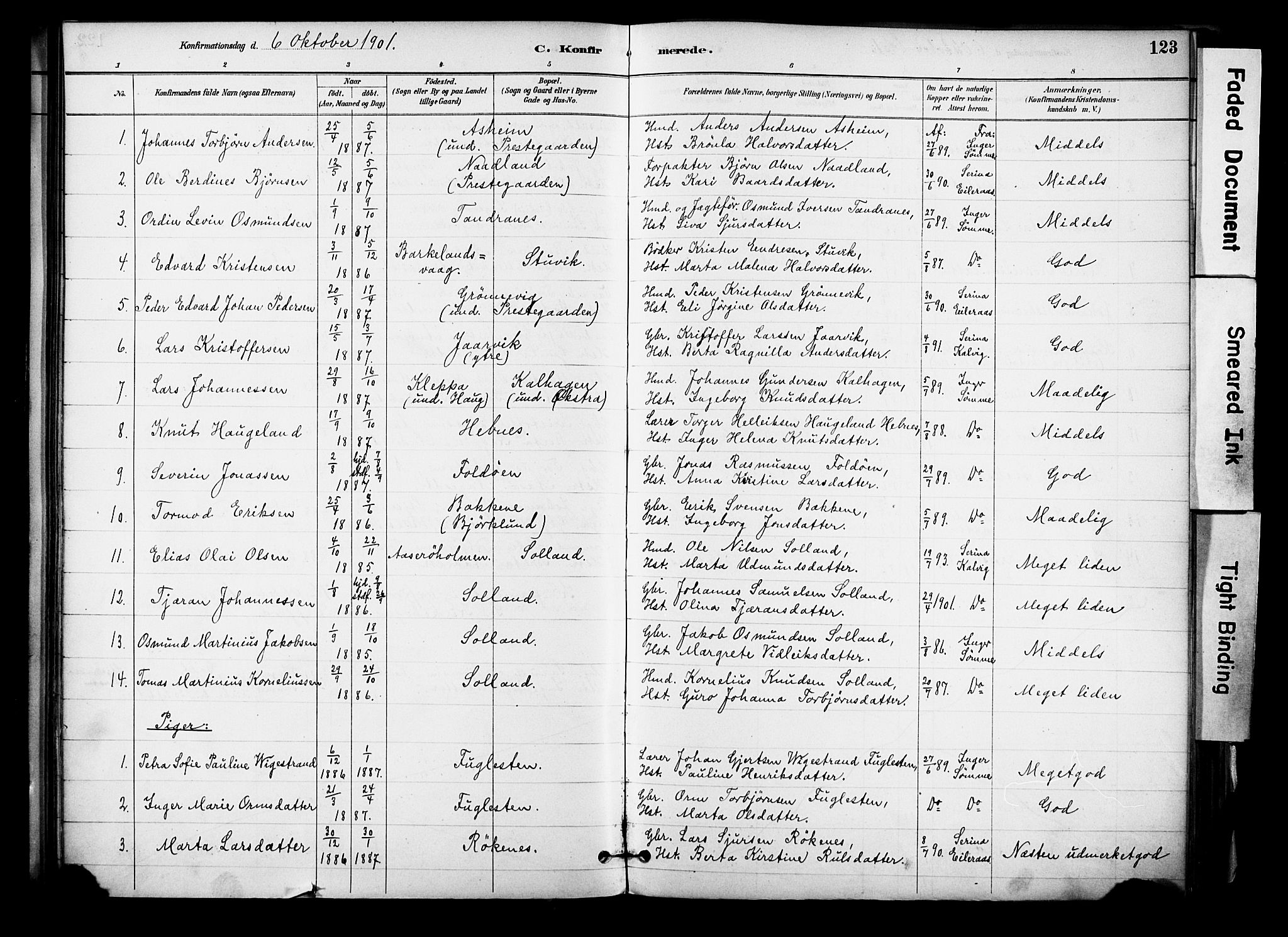 Jelsa sokneprestkontor, SAST/A-101842/01/IV: Parish register (official) no. A 10, 1884-1906, p. 123