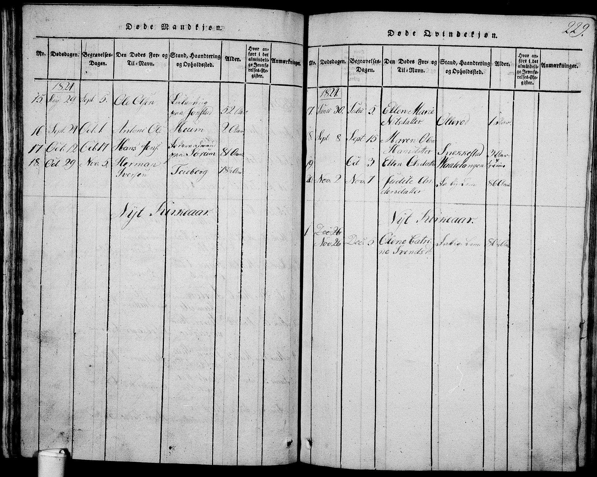 Våle kirkebøker, AV/SAKO-A-334/G/Ga/L0001: Parish register (copy) no. I 1, 1814-1824, p. 228-229