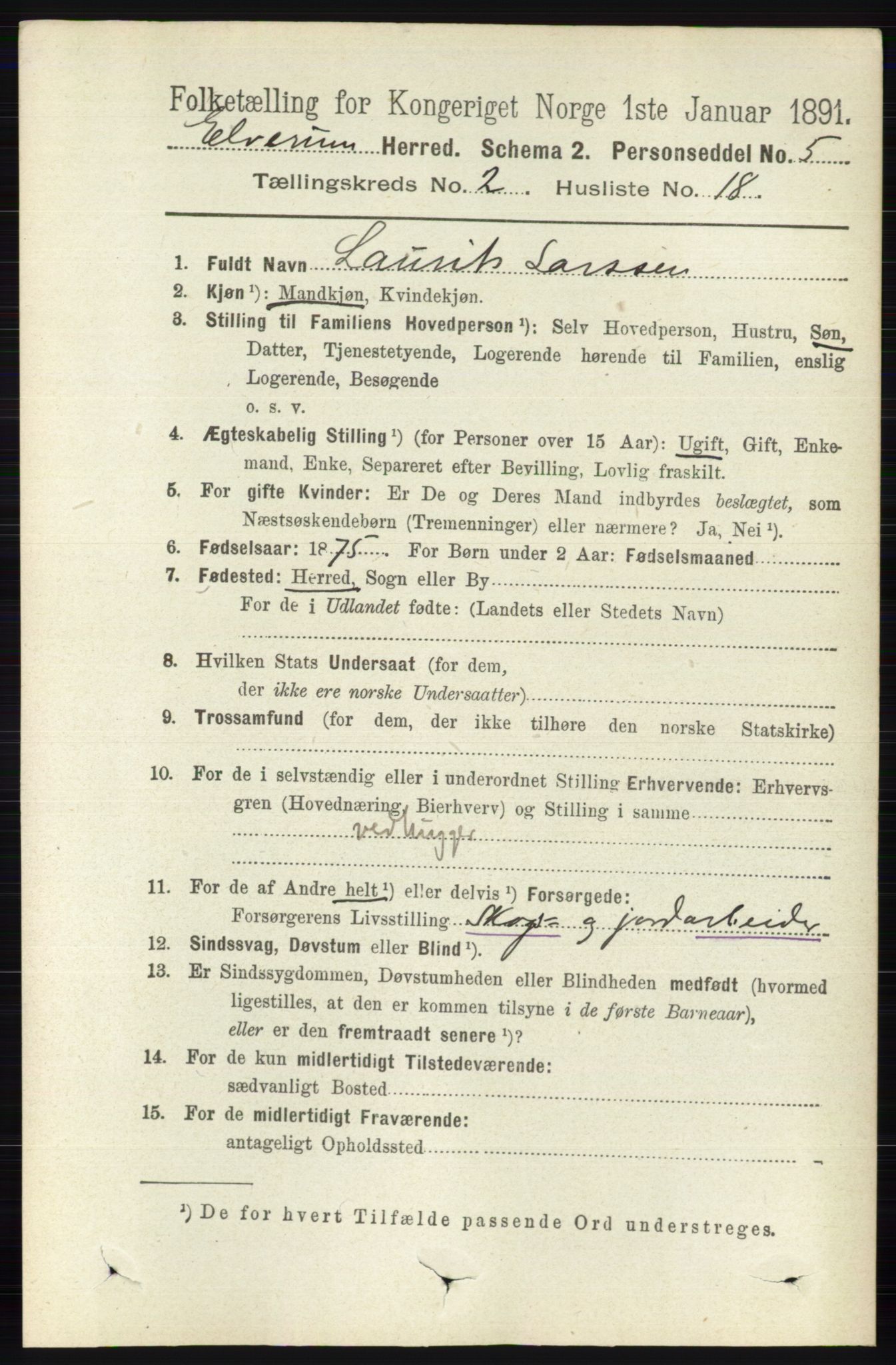RA, 1891 census for 0427 Elverum, 1891, p. 1339