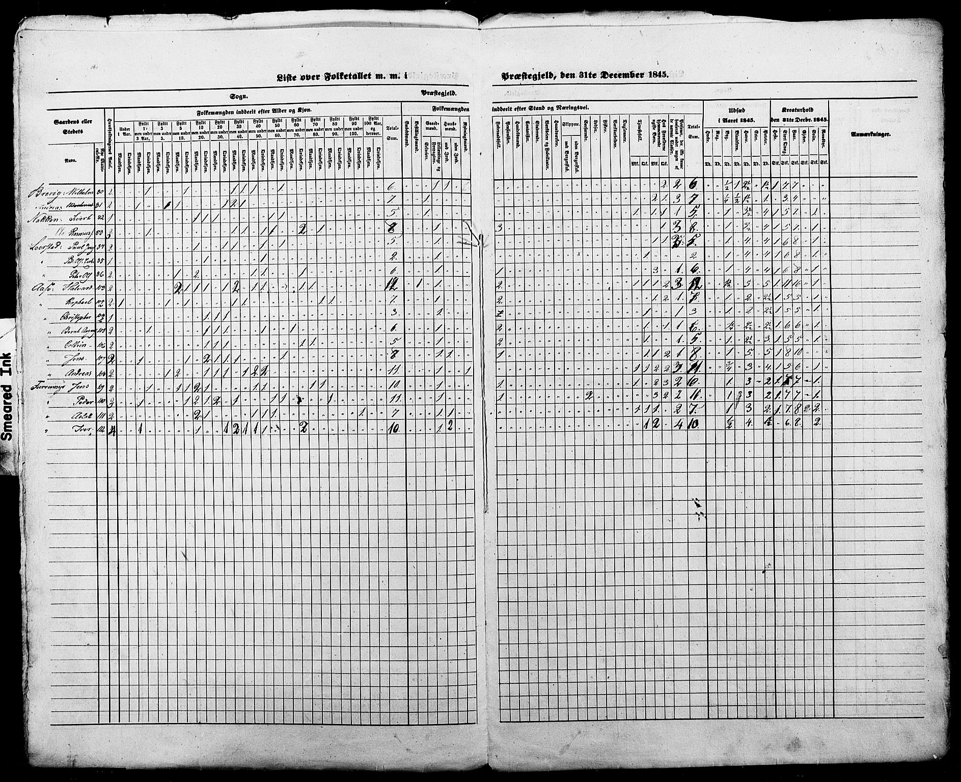 SAT, Census 1845 for Borgund, 1845, p. 9