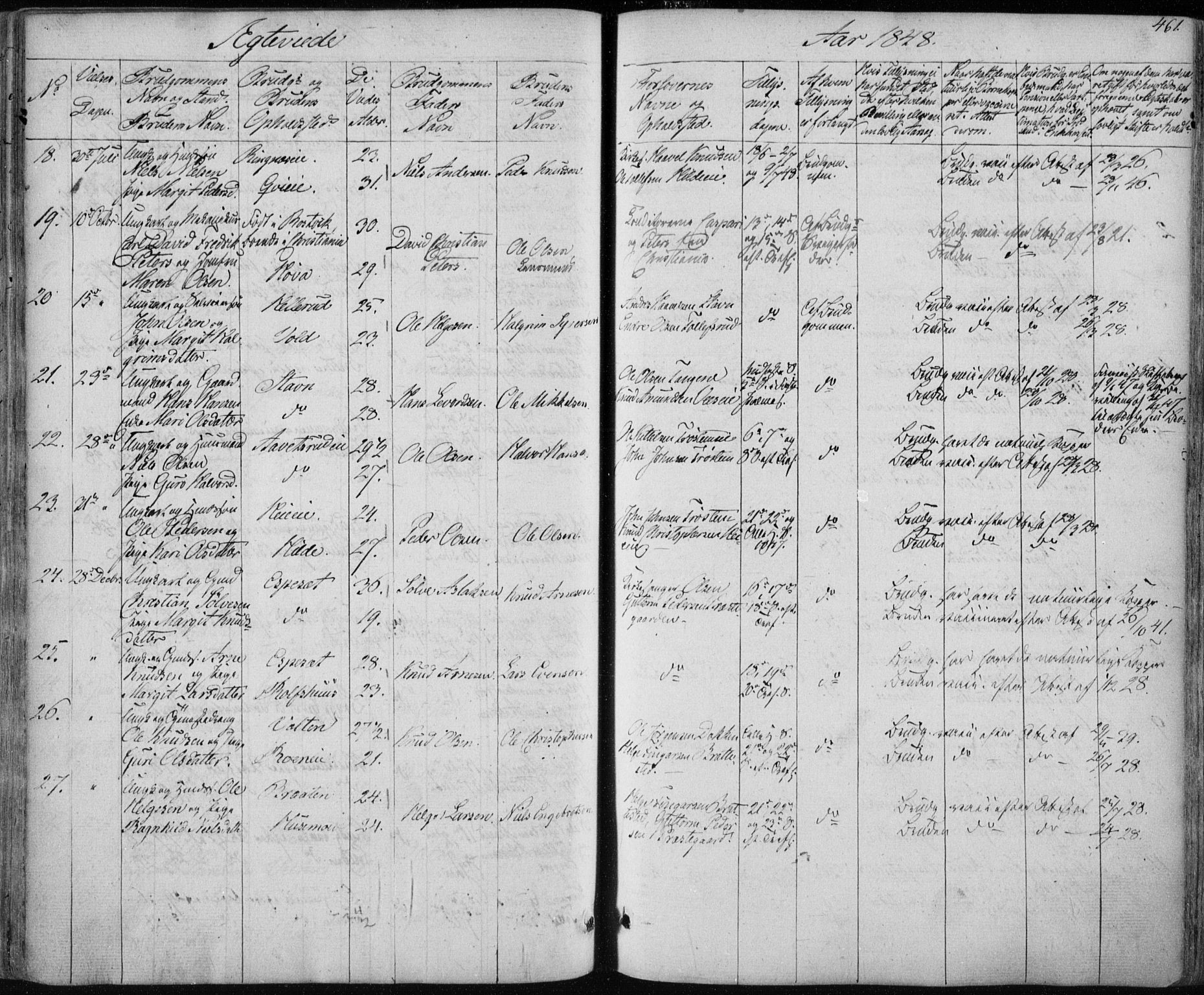 Nes kirkebøker, SAKO/A-236/F/Fa/L0009: Parish register (official) no. 9, 1834-1863, p. 461