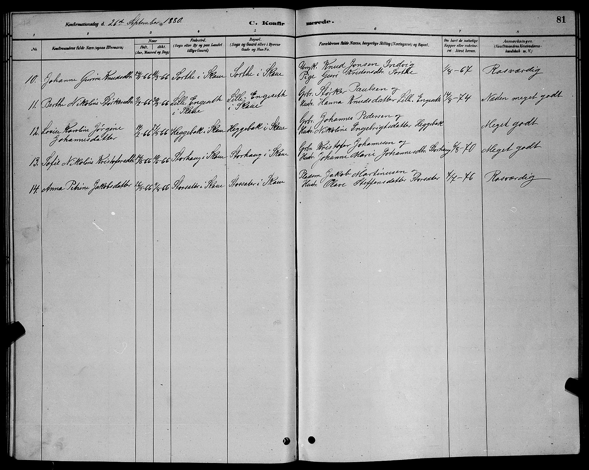 Ministerialprotokoller, klokkerbøker og fødselsregistre - Møre og Romsdal, AV/SAT-A-1454/524/L0365: Parish register (copy) no. 524C06, 1880-1899, p. 81