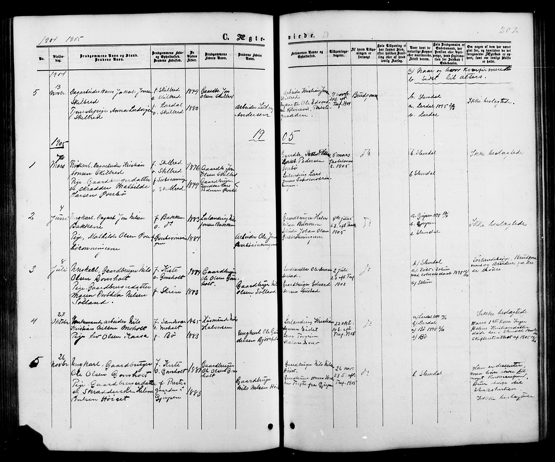 Siljan kirkebøker, AV/SAKO-A-300/G/Ga/L0002: Parish register (copy) no. 2, 1864-1908, p. 202