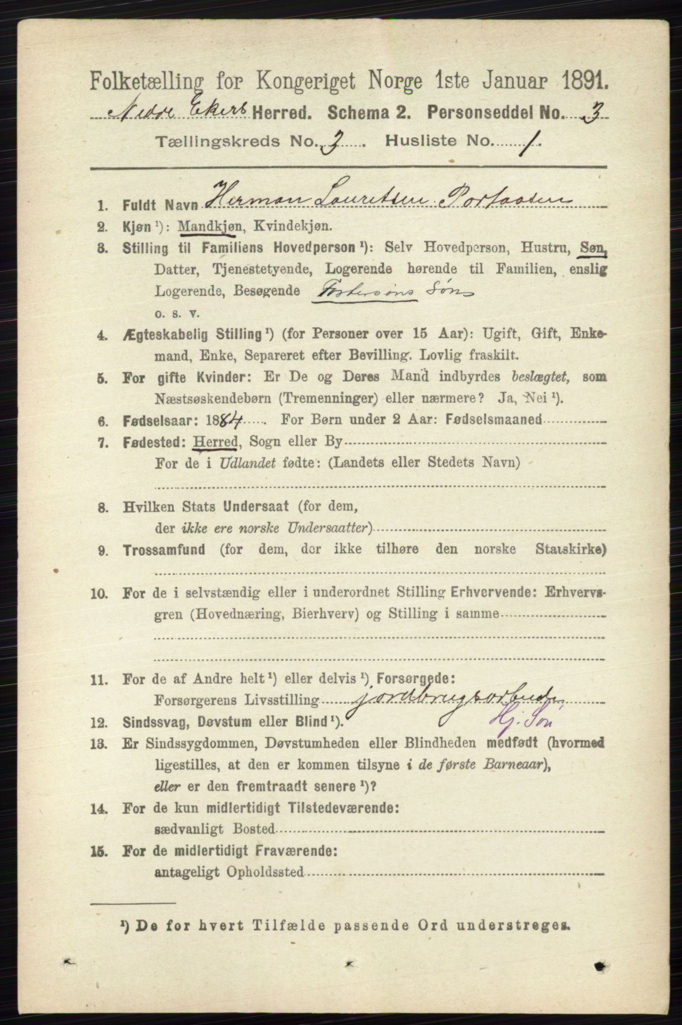 RA, 1891 census for 0625 Nedre Eiker, 1891, p. 1194