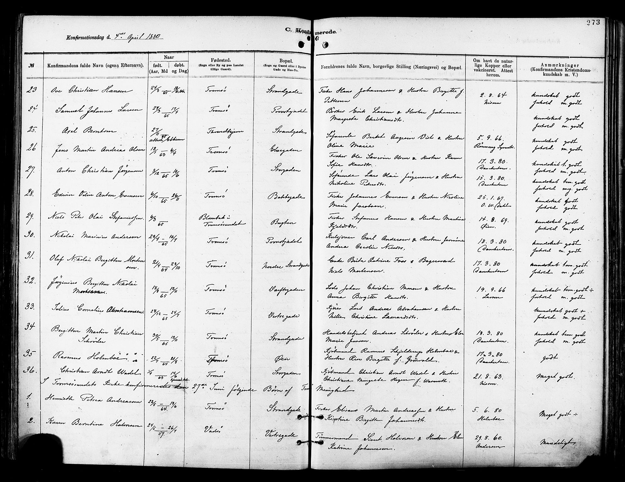 Tromsø sokneprestkontor/stiftsprosti/domprosti, SATØ/S-1343/G/Ga/L0014kirke: Parish register (official) no. 14, 1878-1888, p. 273