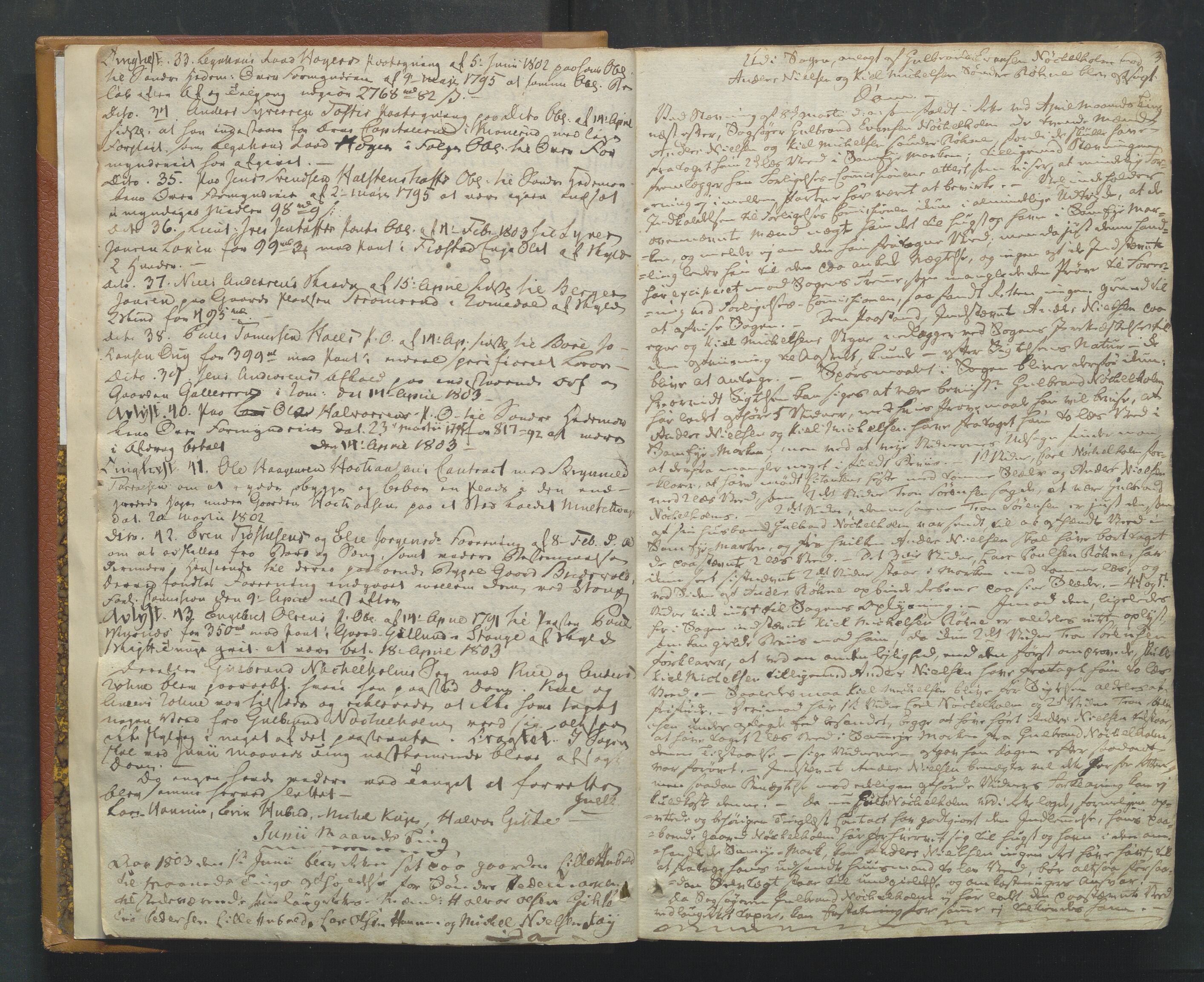 Sør-Hedmark sorenskriveri, AV/SAH-TING-014/G/Gb/Gba/L0002: Tingbok, 1803-1811, p. 2b-3a