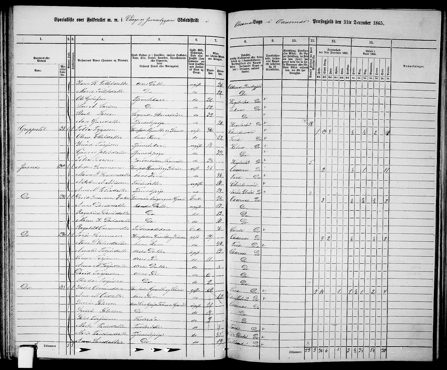 RA, 1865 census for Oddernes, 1865, p. 47