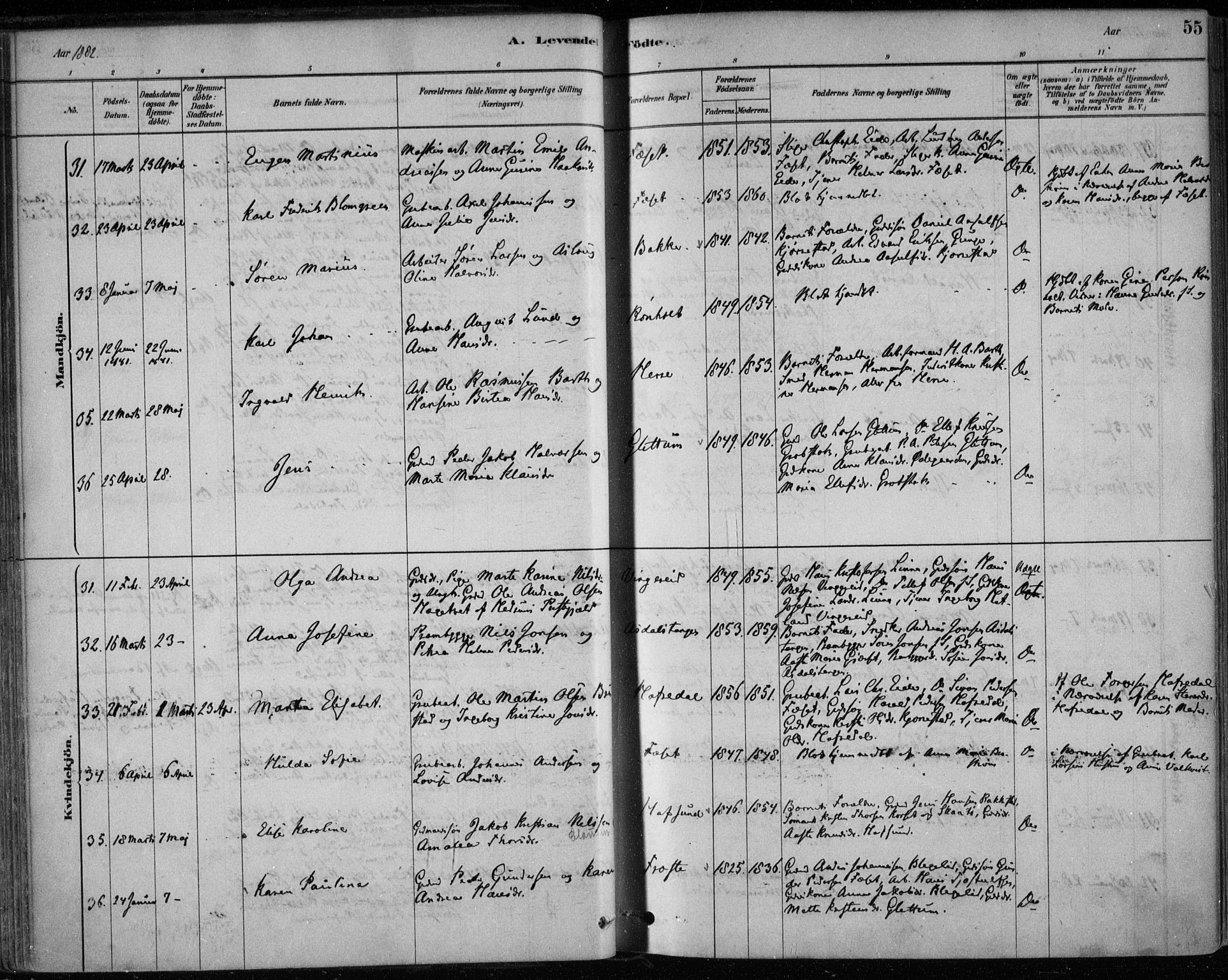 Bamble kirkebøker, AV/SAKO-A-253/F/Fa/L0007: Parish register (official) no. I 7, 1878-1888, p. 55