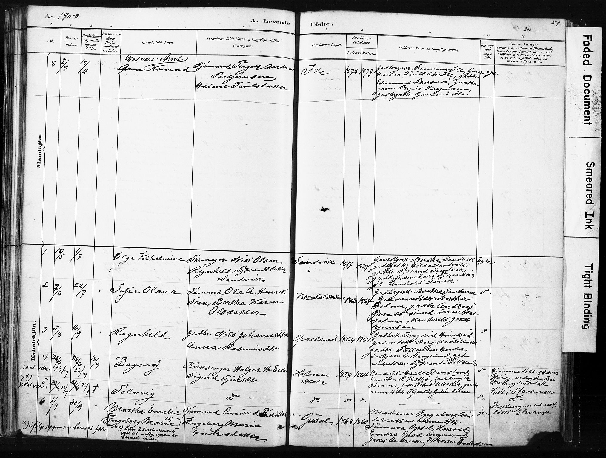 Vikedal sokneprestkontor, AV/SAST-A-101840/01/IV: Parish register (official) no. A 10, 1884-1907, p. 59