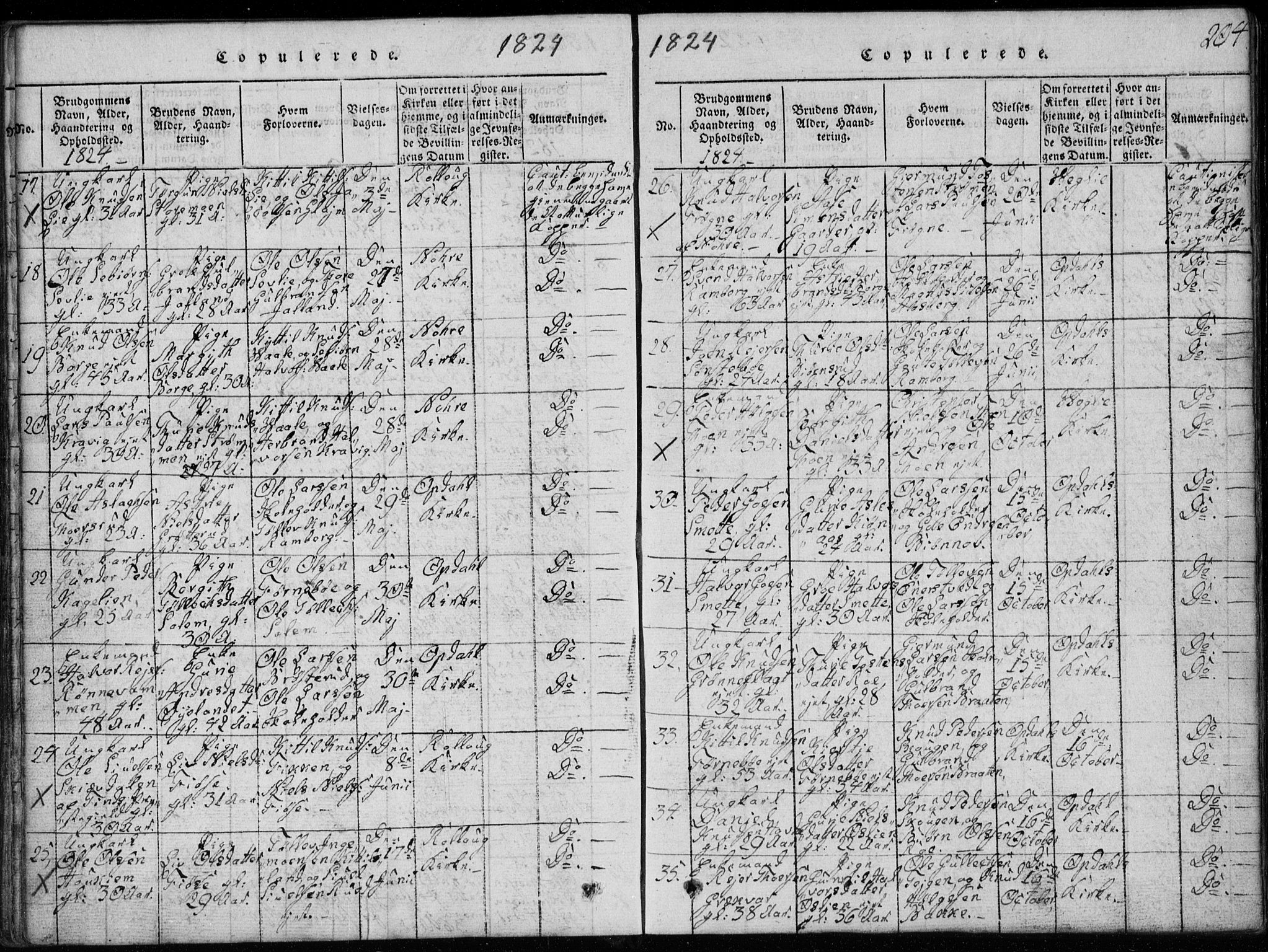 Rollag kirkebøker, SAKO/A-240/G/Ga/L0001: Parish register (copy) no. I 1, 1814-1831, p. 204