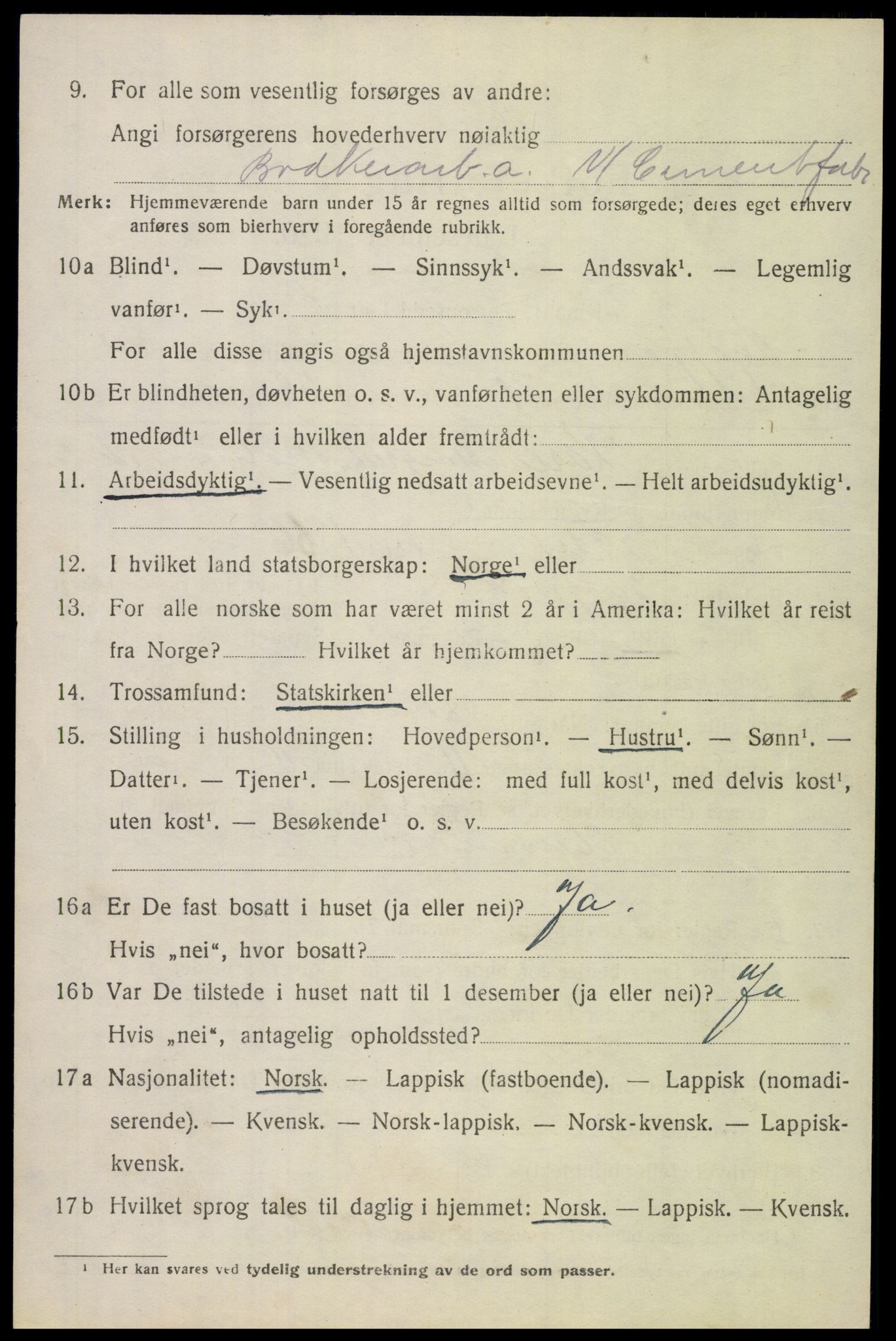 SAT, 1920 census for Tysfjord, 1920, p. 4046