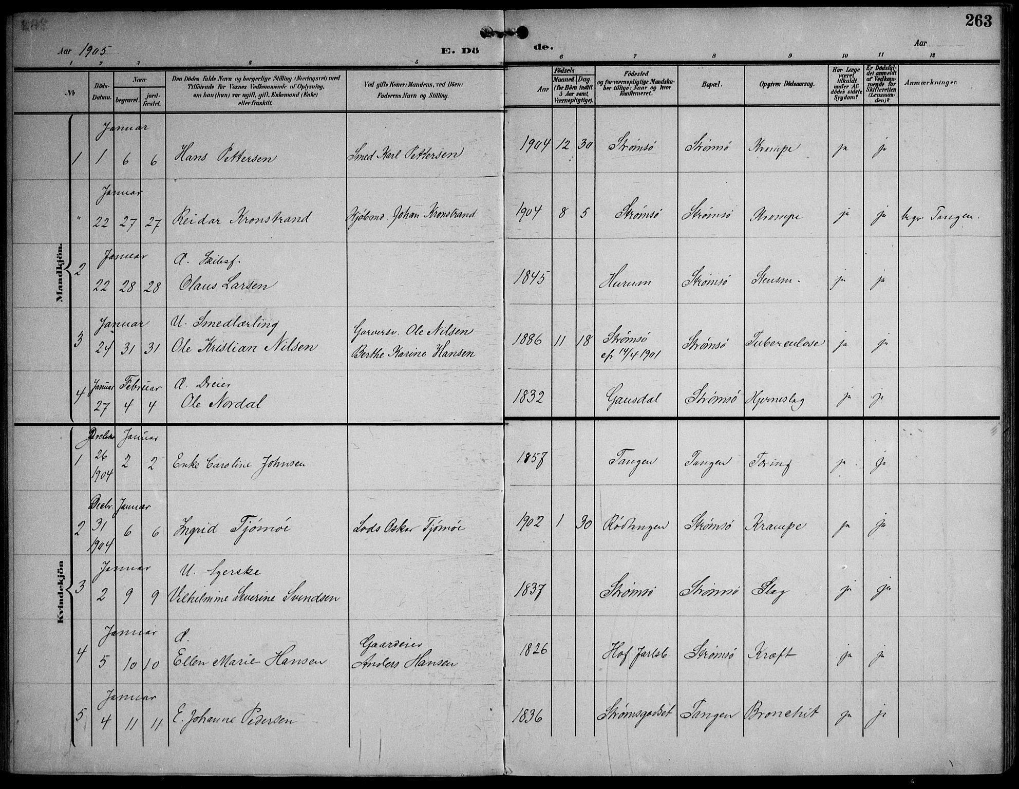 Strømsø kirkebøker, AV/SAKO-A-246/F/Fa/L0026: Parish register (official) no. I 26, 1905-1914, p. 263