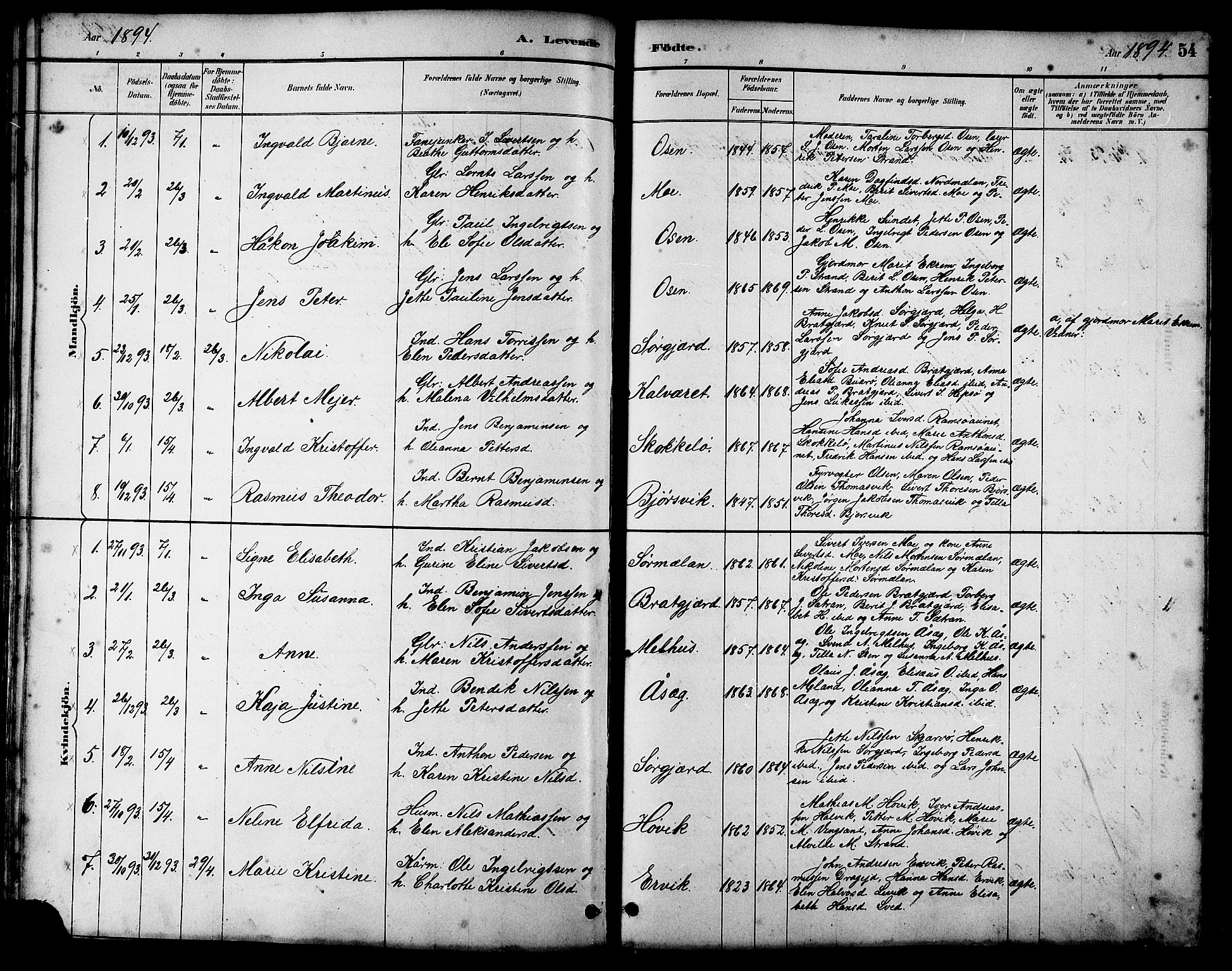Ministerialprotokoller, klokkerbøker og fødselsregistre - Sør-Trøndelag, SAT/A-1456/658/L0726: Parish register (copy) no. 658C02, 1883-1908, p. 54