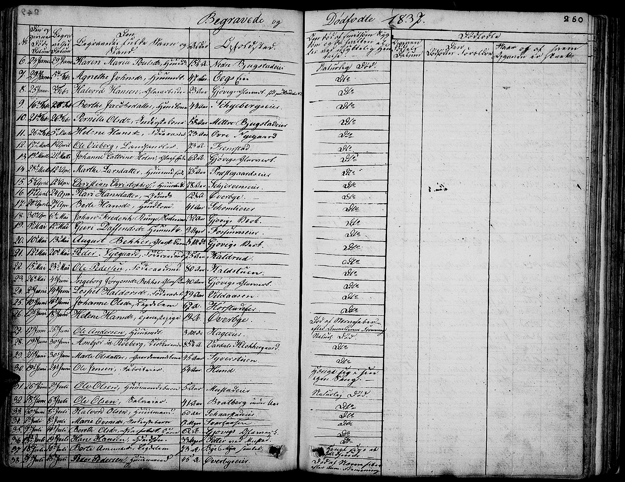 Vardal prestekontor, SAH/PREST-100/H/Ha/Hab/L0004: Parish register (copy) no. 4, 1831-1853, p. 250