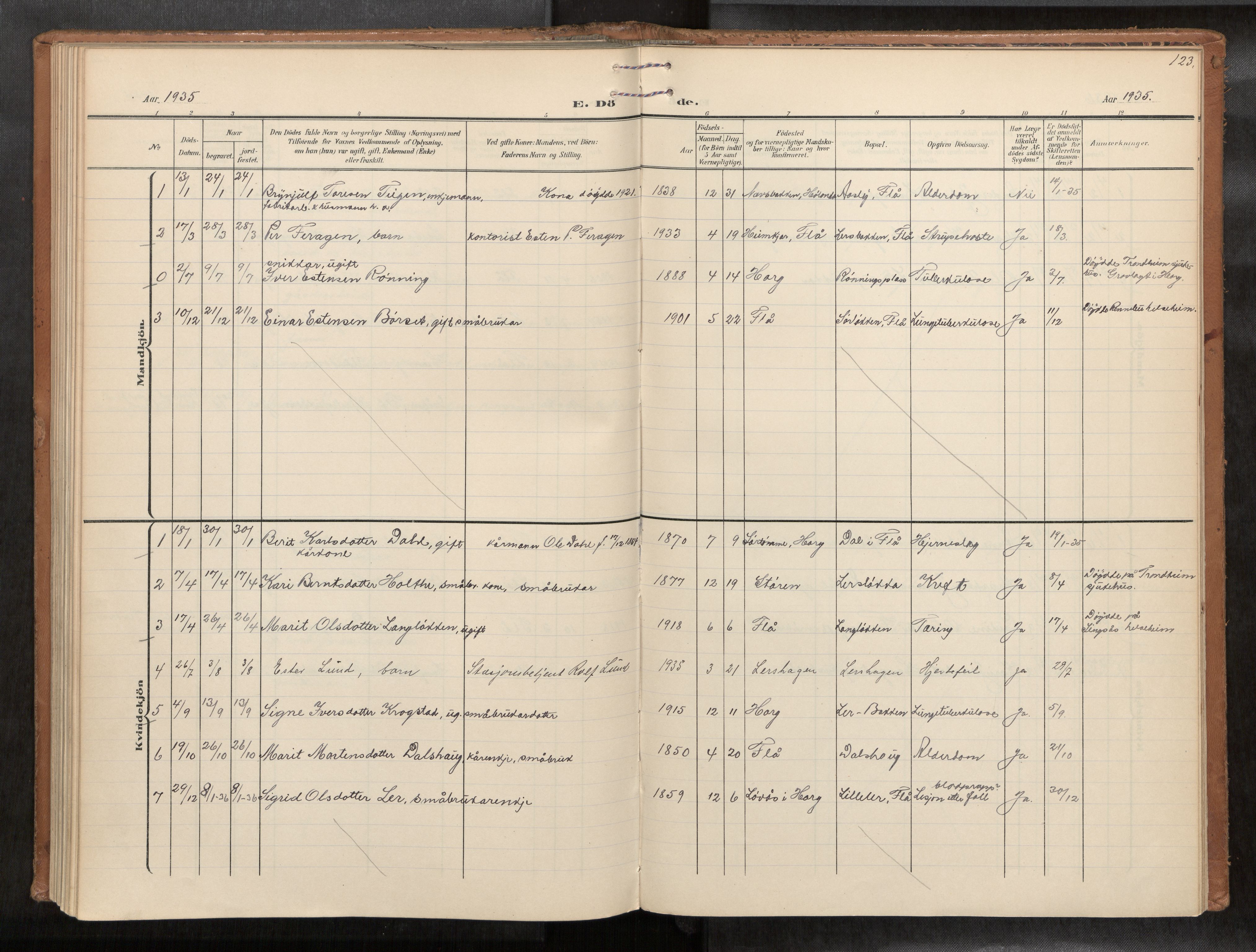 Ministerialprotokoller, klokkerbøker og fødselsregistre - Sør-Trøndelag, AV/SAT-A-1456/693/L1119b: Parish register (official) no. 693A02, 1906-1936, p. 123