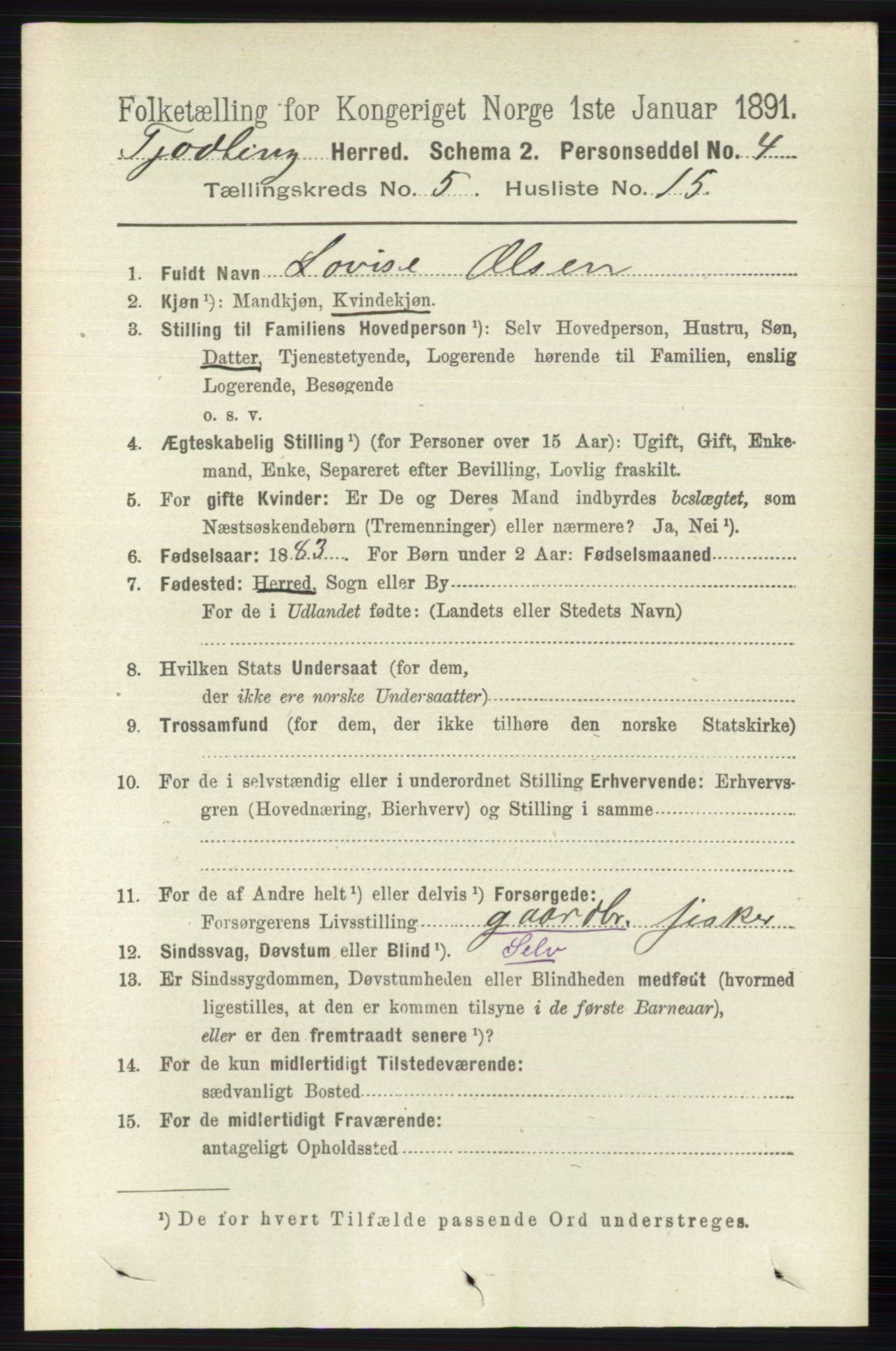 RA, 1891 census for 0725 Tjølling, 1891, p. 2084