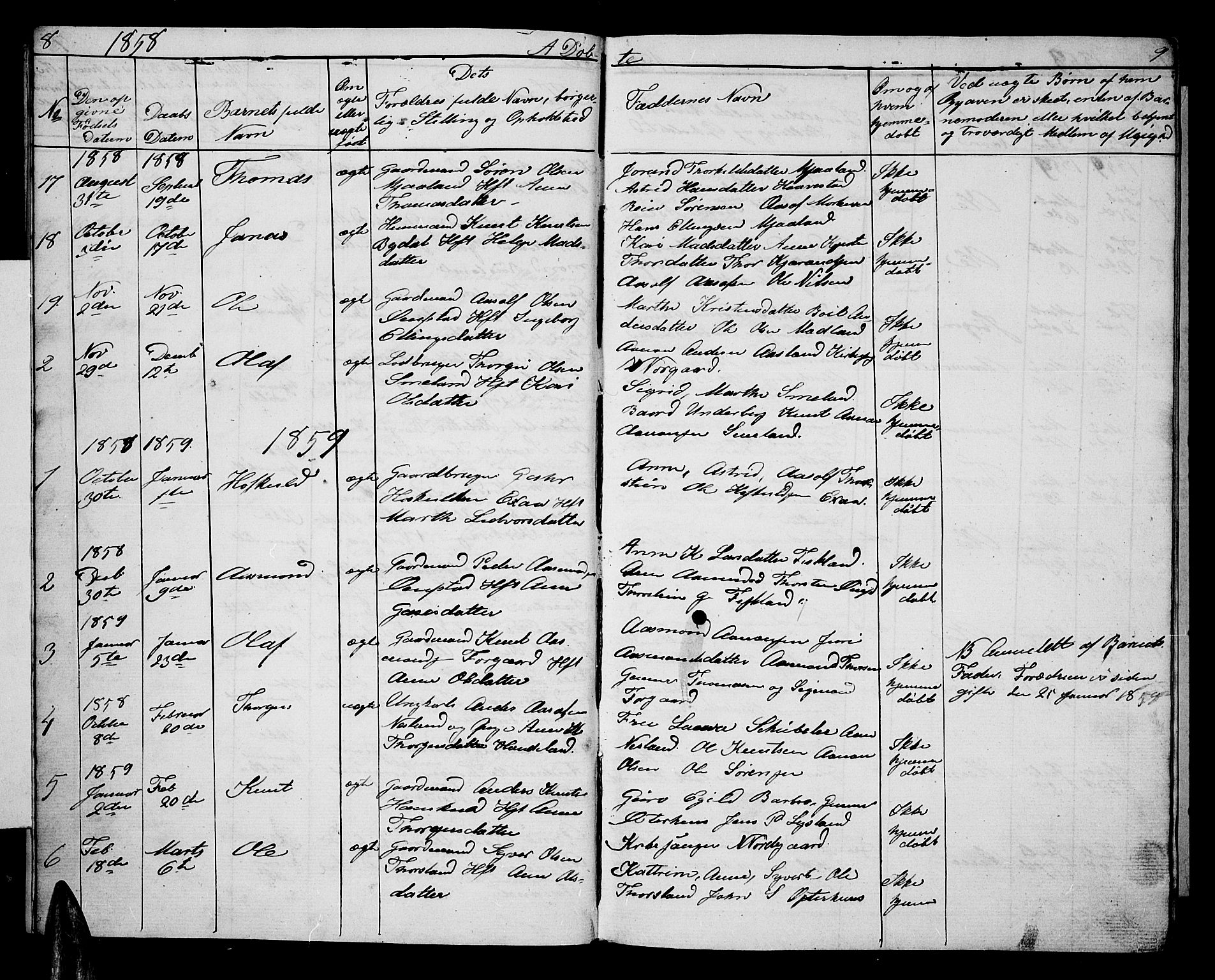 Åseral sokneprestkontor, SAK/1111-0051/F/Fb/L0001: Parish register (copy) no. B 1, 1856-1877, p. 8-9