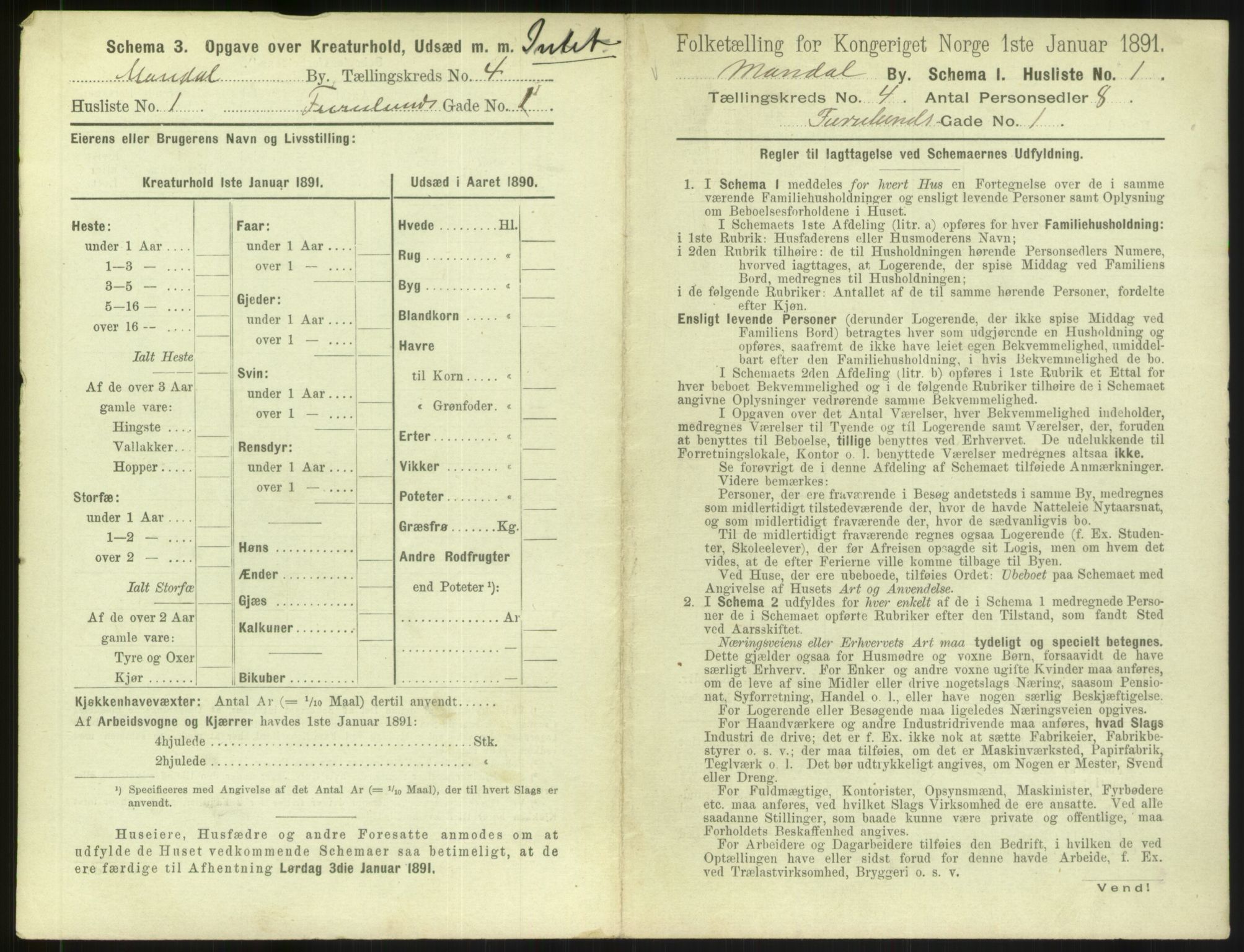 RA, 1891 census for 1002 Mandal, 1891, p. 211