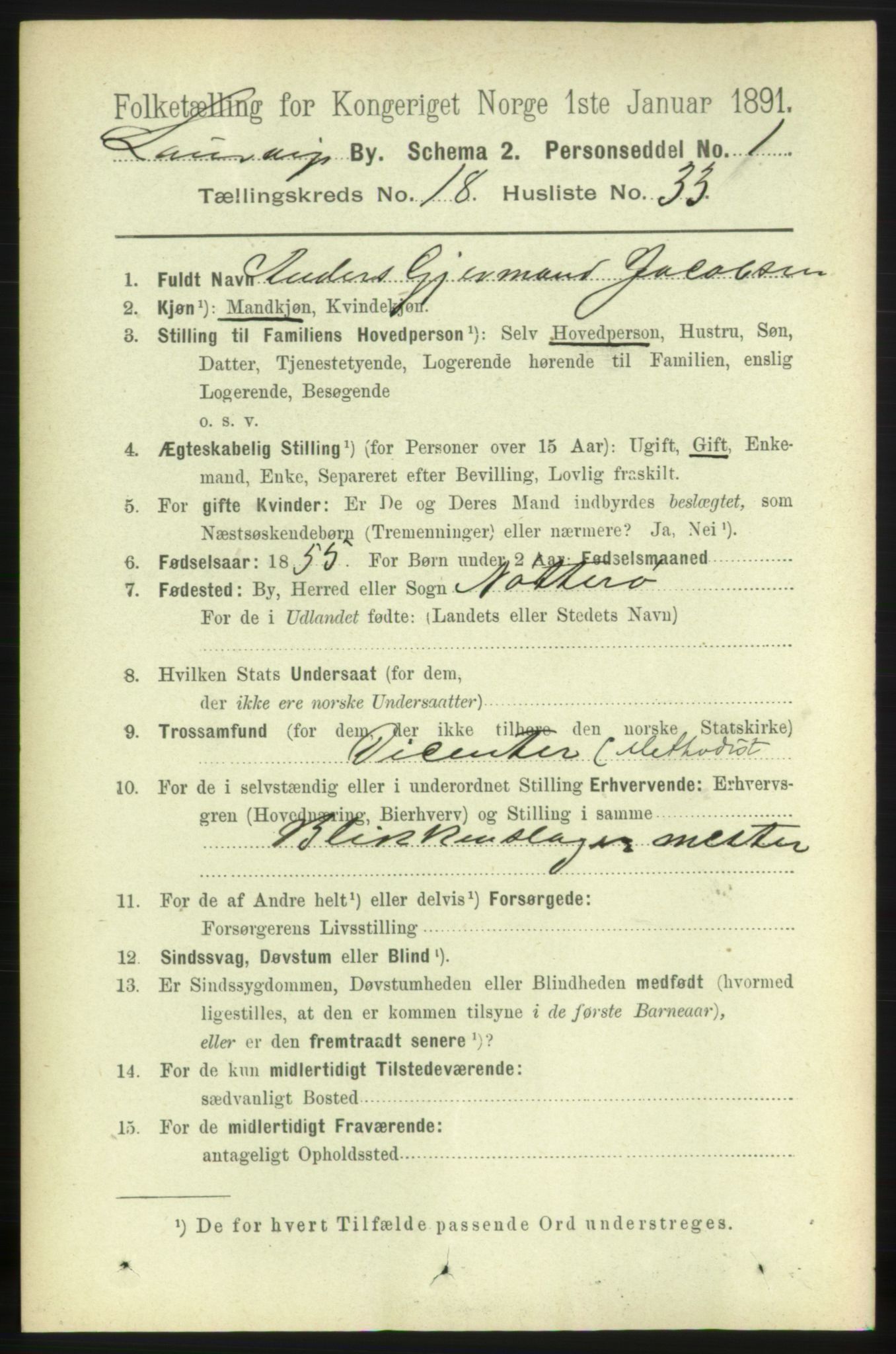 RA, 1891 census for 0707 Larvik, 1891, p. 13414
