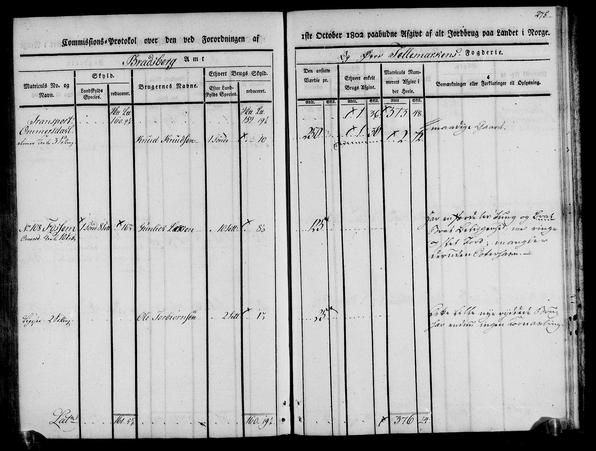 Rentekammeret inntil 1814, Realistisk ordnet avdeling, AV/RA-EA-4070/N/Ne/Nea/L0074: Øvre Telemarken fogderi. Kommisjonsprotokoll for fogderiets østre del - Tinn, Hjartdal og Seljord prestegjeld., 1803, p. 276