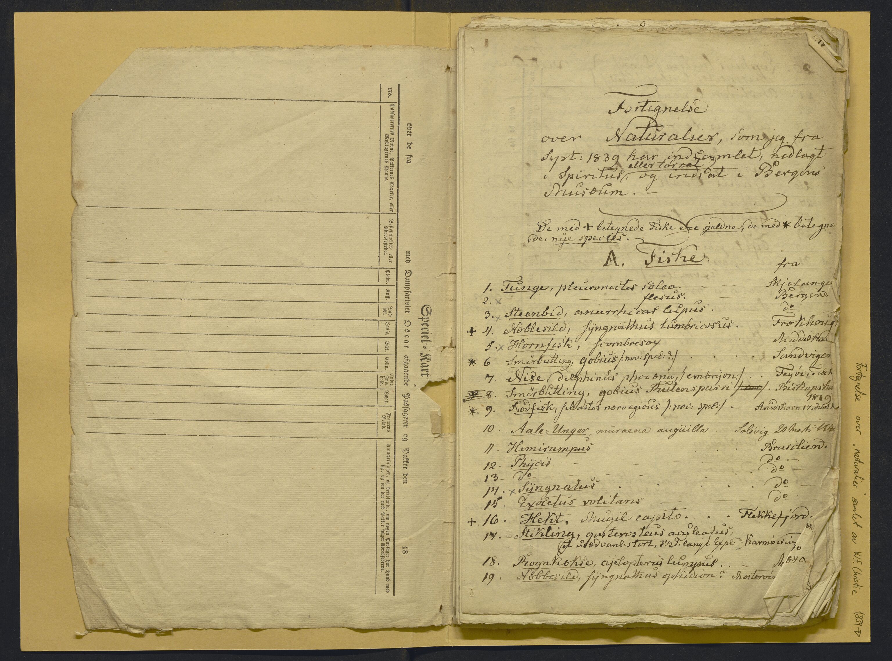 Bergens Museum, AV/SAB-A-17301/02/F/L0001: Kataloger over gjenstander og pergamentbrev , 1825-1880, p. 526