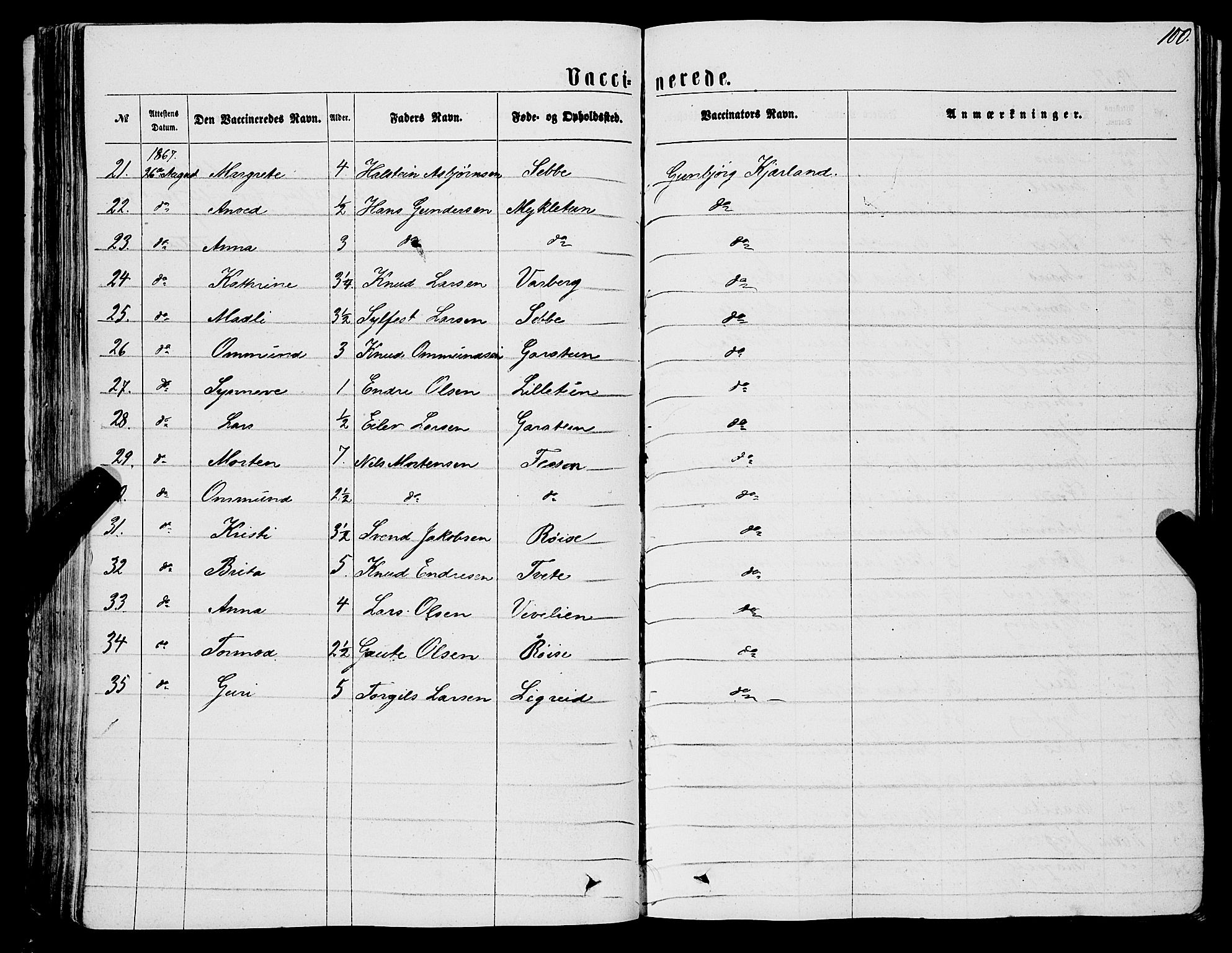 Ulvik sokneprestembete, AV/SAB-A-78801/H/Haa: Parish register (official) no. A 15, 1864-1878, p. 100