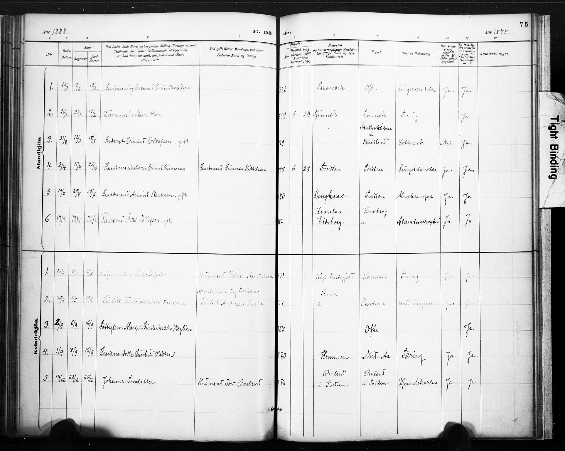 Lårdal kirkebøker, SAKO/A-284/F/Fc/L0002: Parish register (official) no. III 2, 1887-1906, p. 75