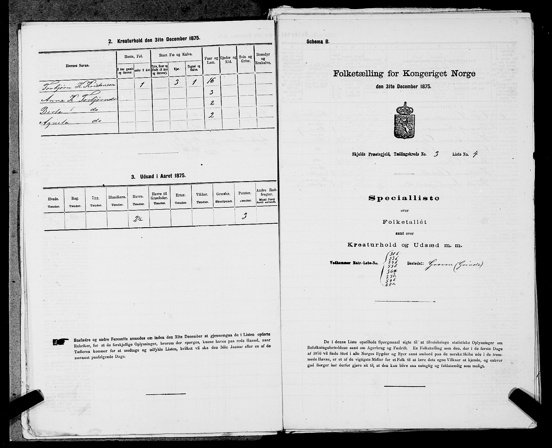 SAST, 1875 census for 1154P Skjold, 1875, p. 224