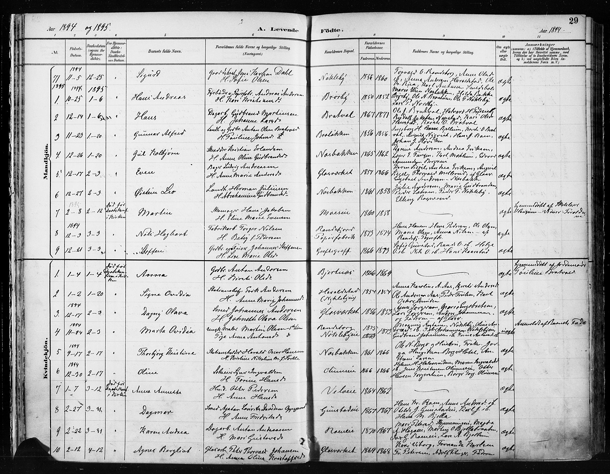 Jevnaker prestekontor, SAH/PREST-116/H/Ha/Haa/L0009: Parish register (official) no. 9, 1891-1901, p. 29